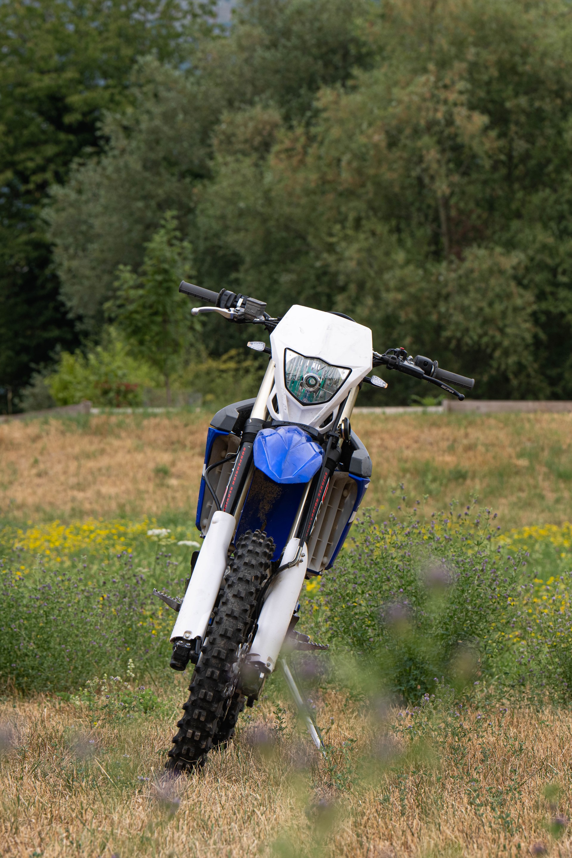 YAMAHA WR 250 F 4T-image-8