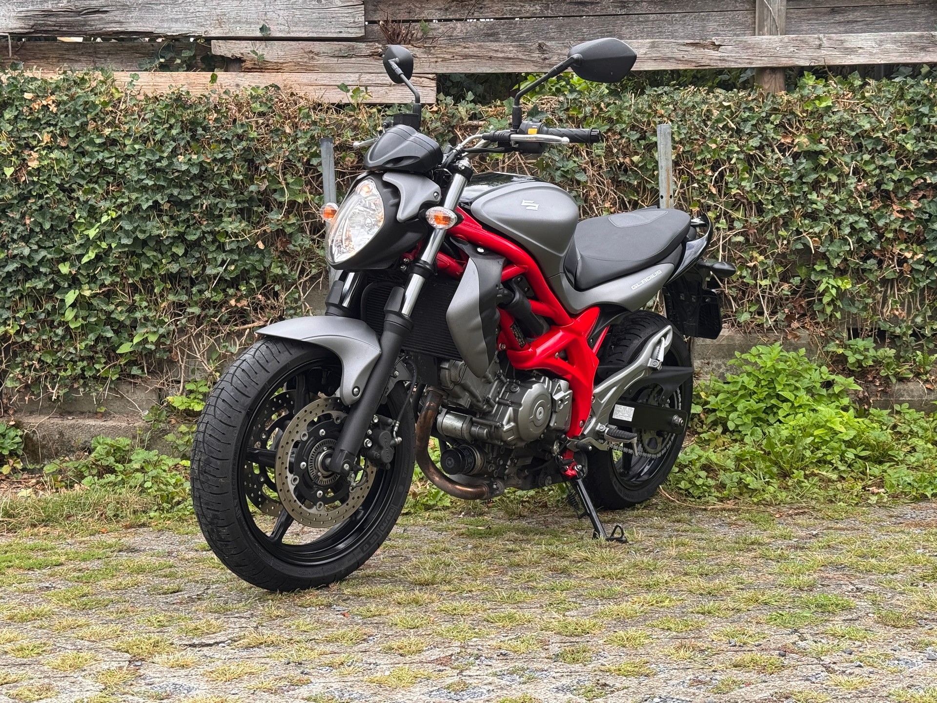 SUZUKI SFV 650 Gladius ABS (25kW)-image-1