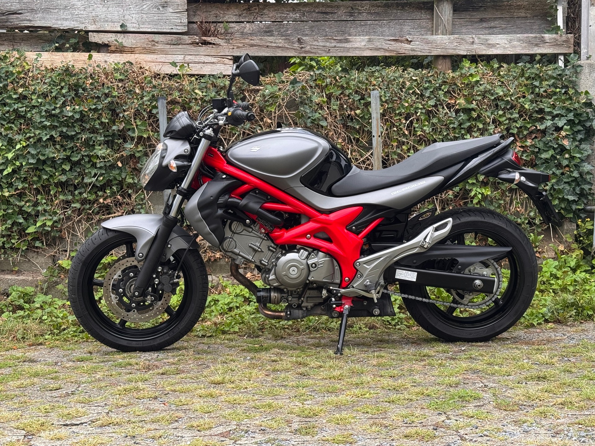 SUZUKI SFV 650 Gladius ABS (25kW)-image-0