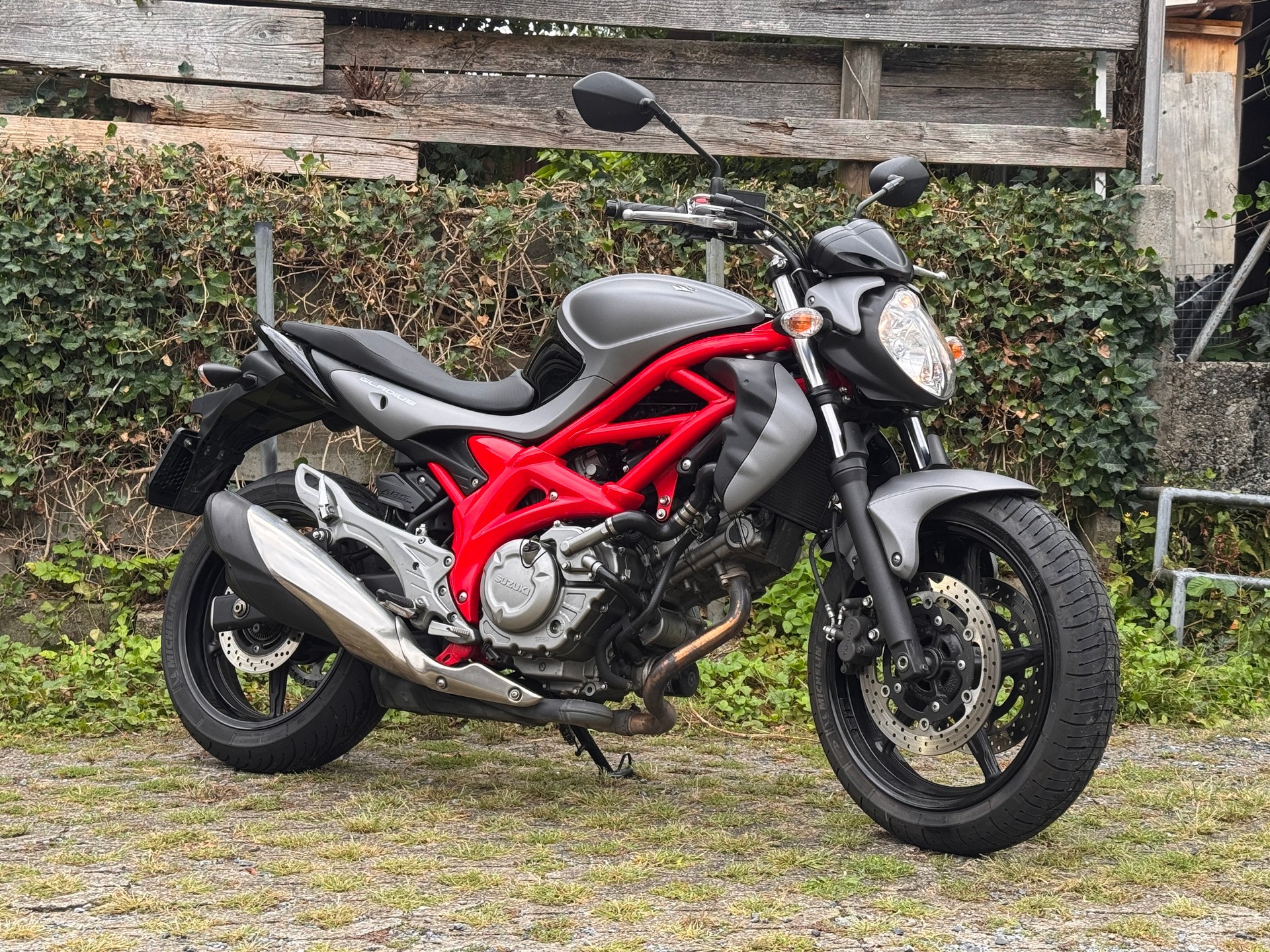 SUZUKI SFV 650 Gladius ABS (25kW)-image-2
