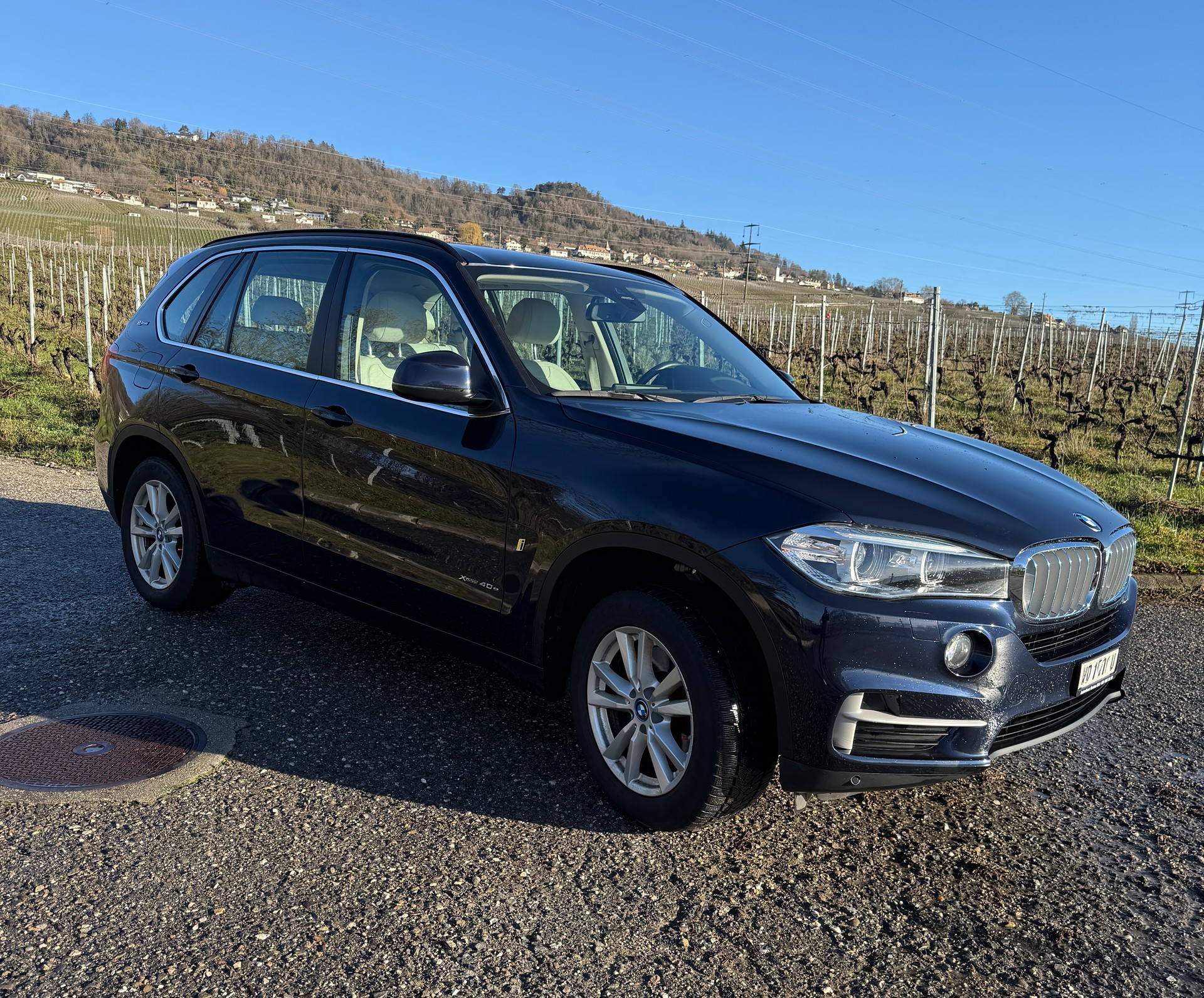 BMW X5 xDrive 40e iPerformance Steptronic-showroom-element-2