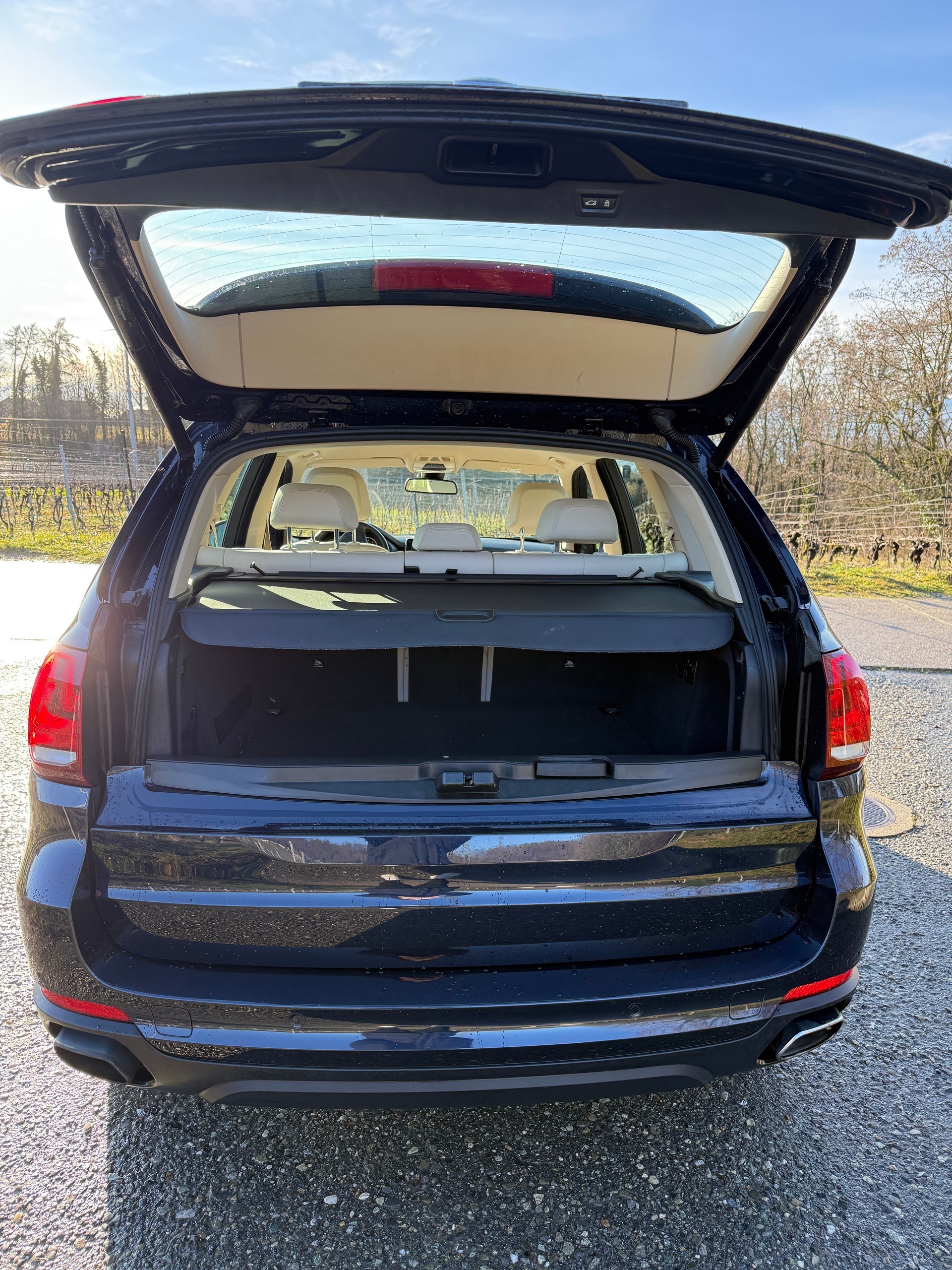 BMW X5 xDrive 40e iPerformance Steptronic-image-6