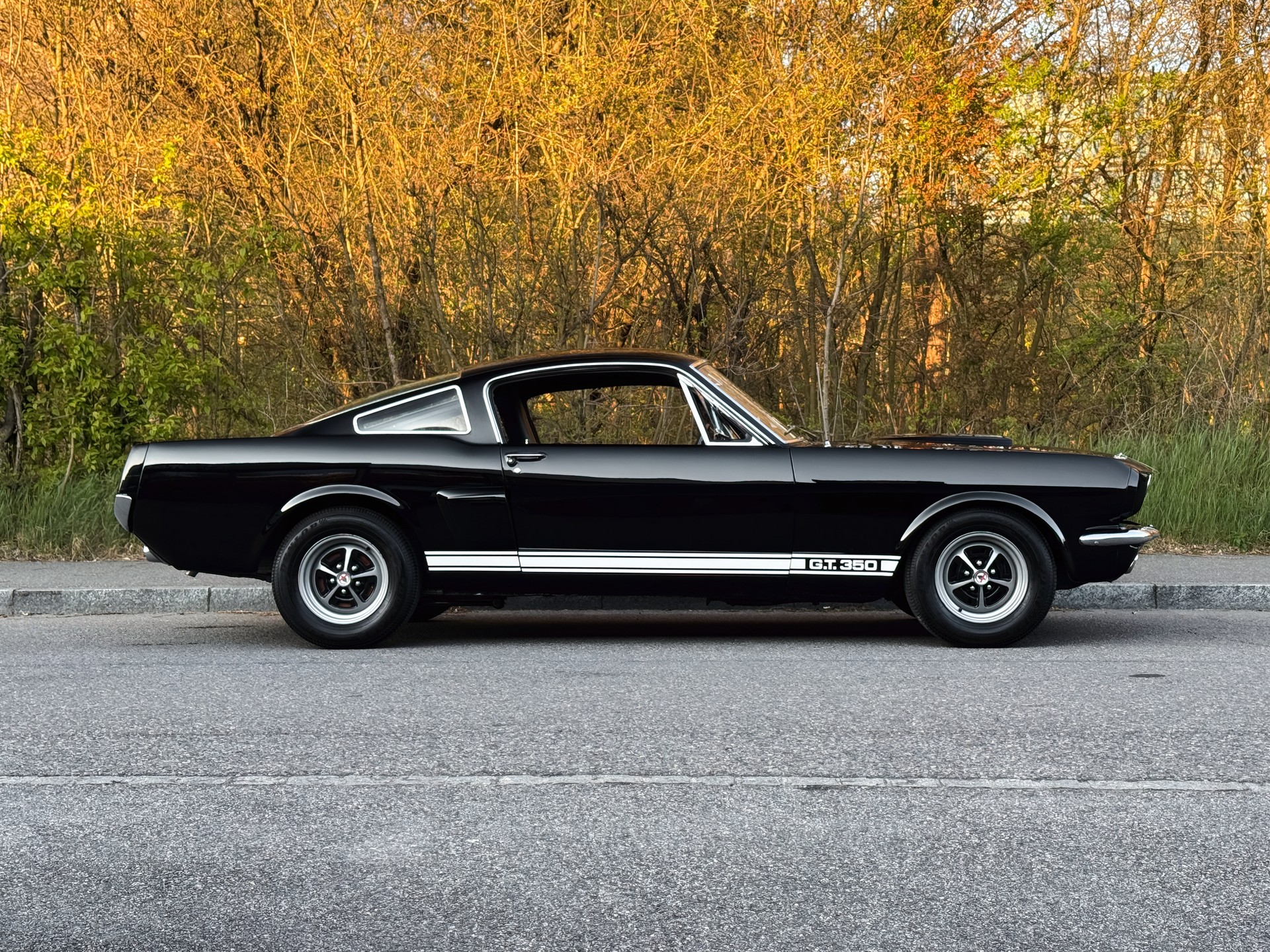 FORD Mustang Shelby GT 350-image-5