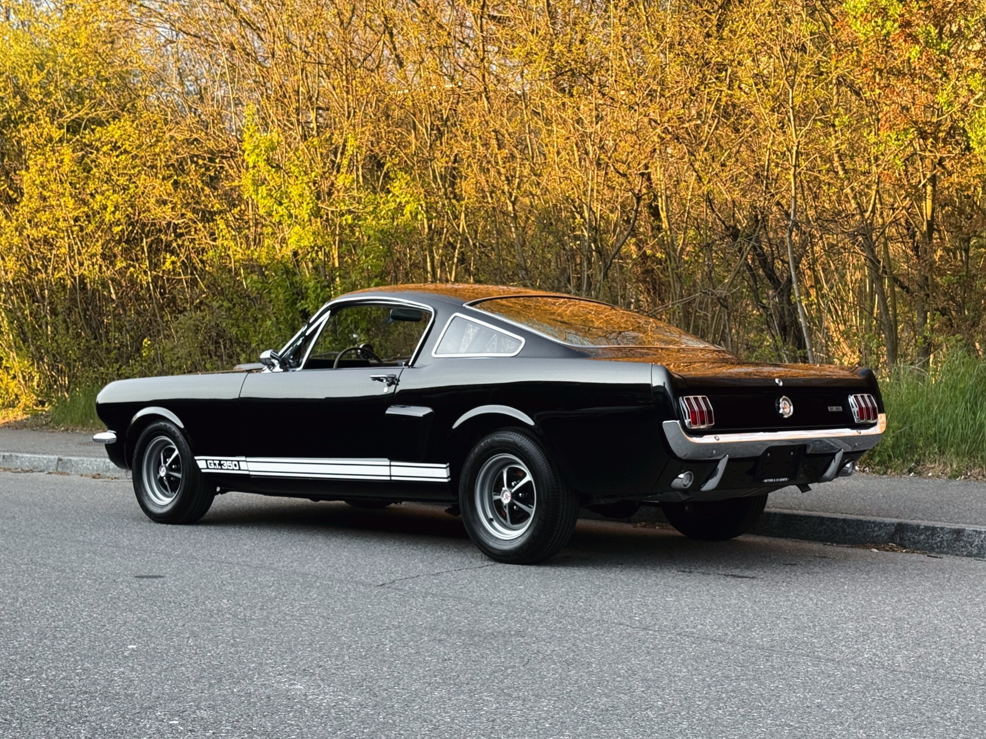 FORD Mustang Shelby GT 350-showroom-element-3