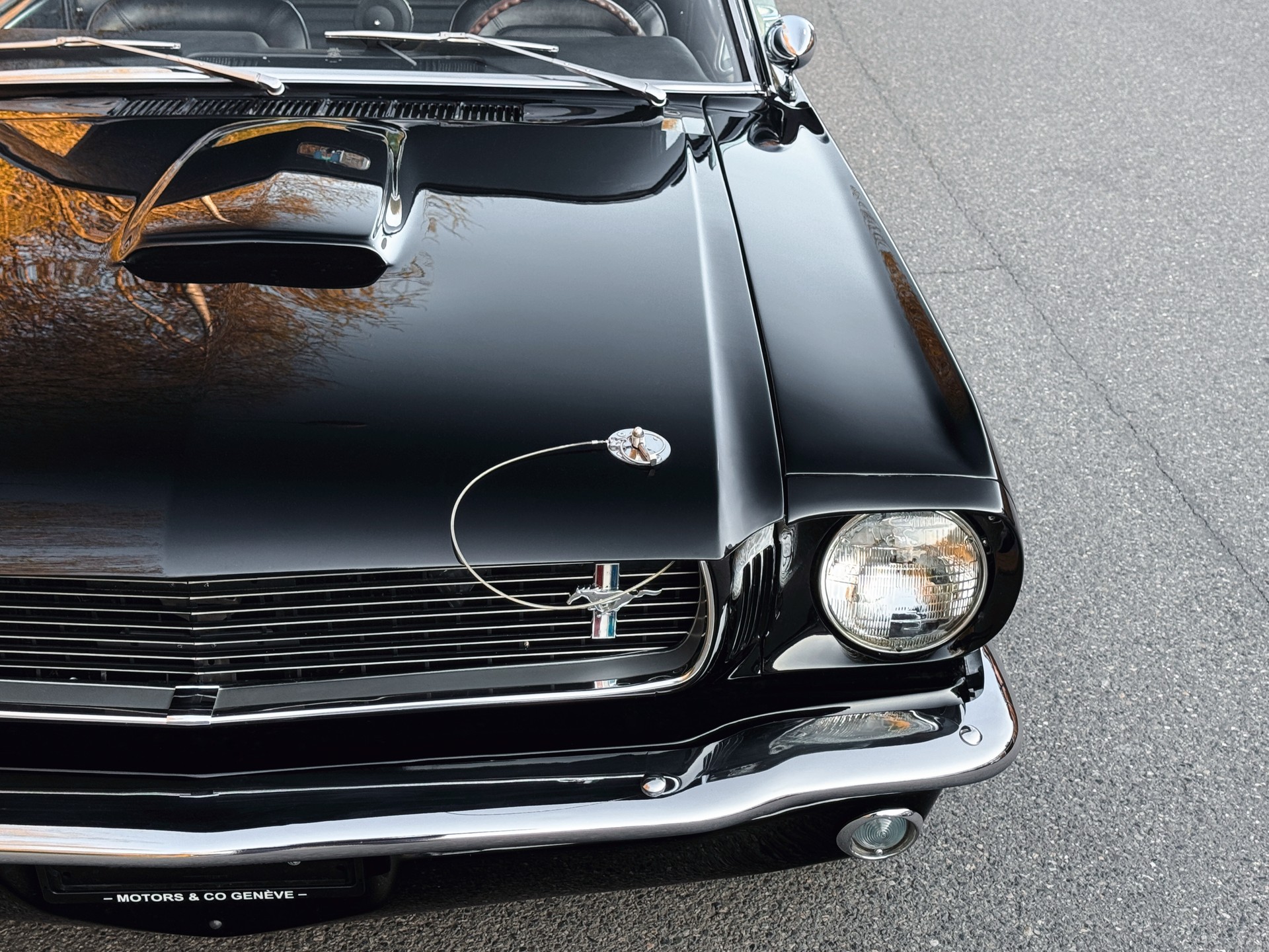 FORD Mustang Shelby GT 350-image-8