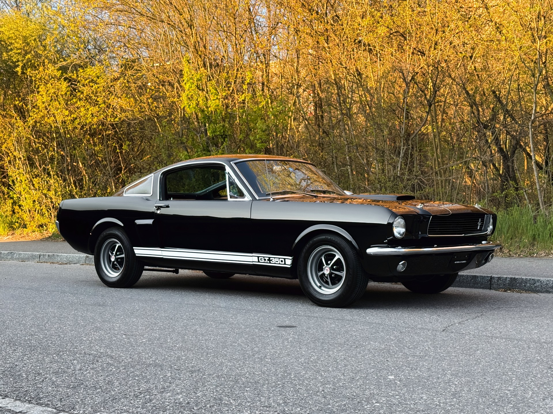 FORD Mustang Shelby GT 350-image-6