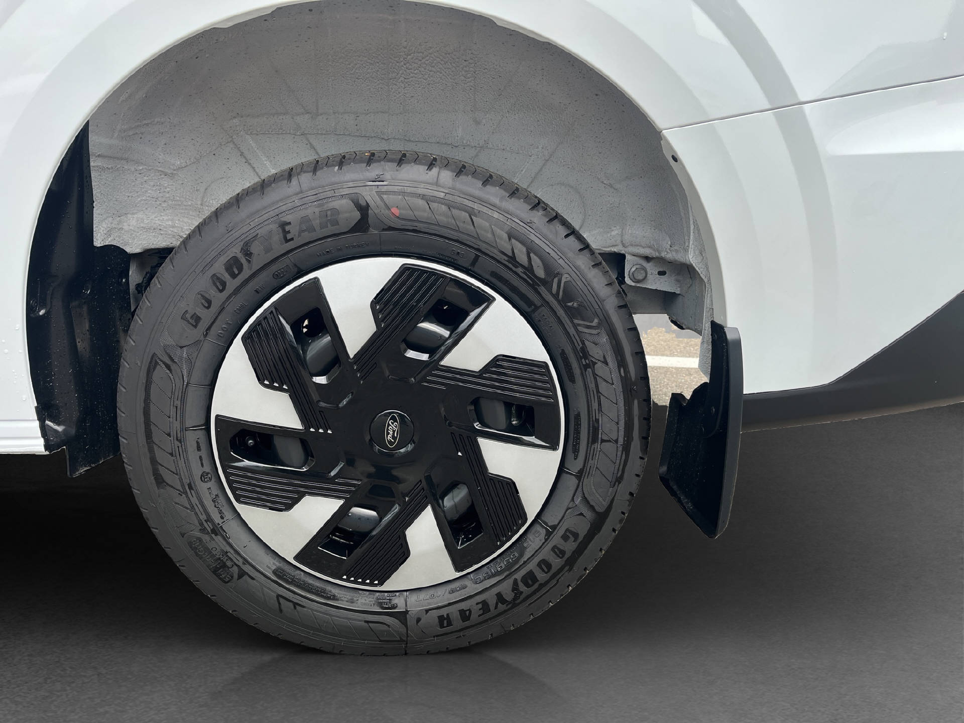 FORD Transit Custom Van 320 L1 2.5 Duratec 233 Trend PHEV-image-24
