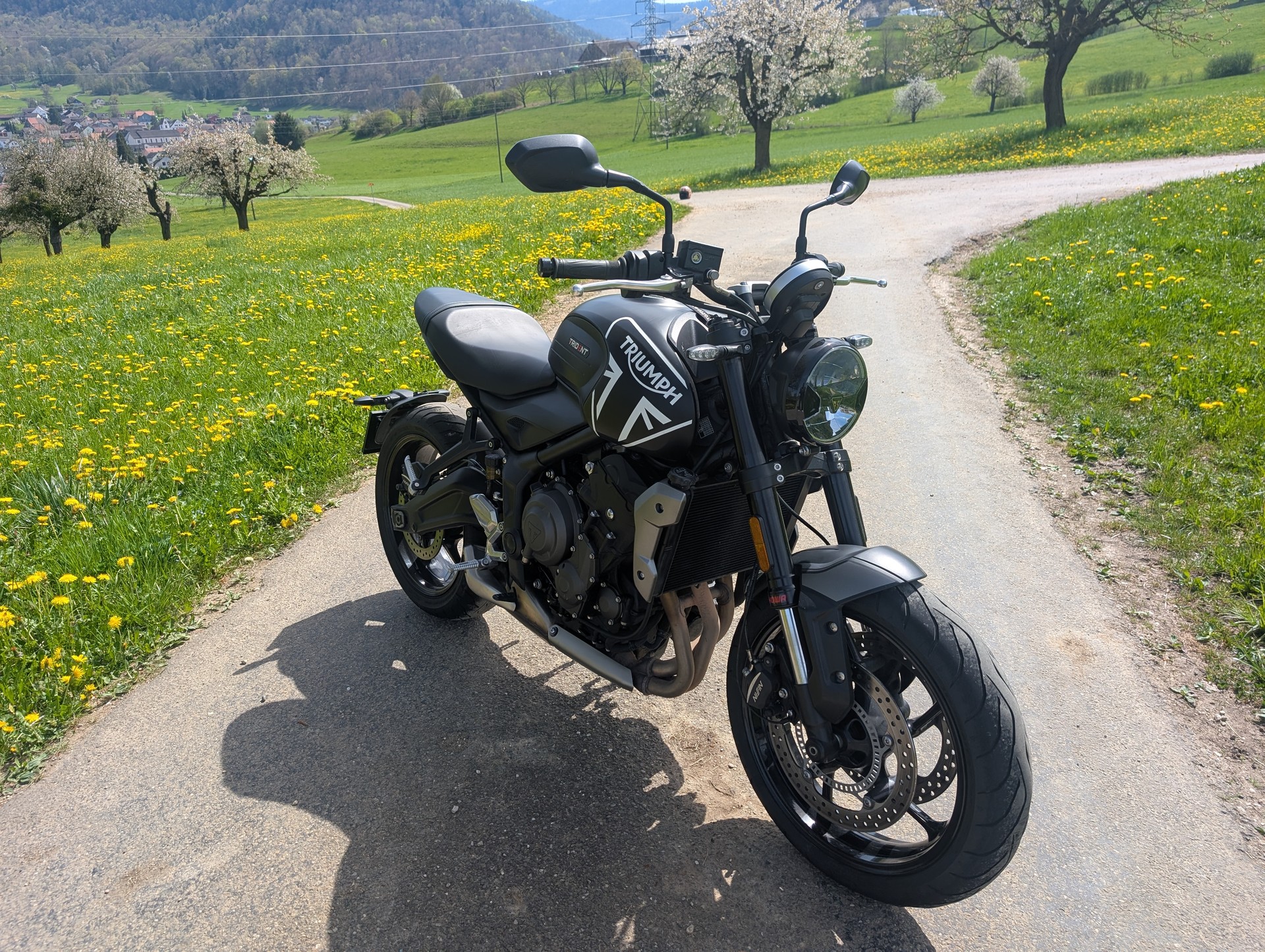 TRIUMPH Trident 660-image-1