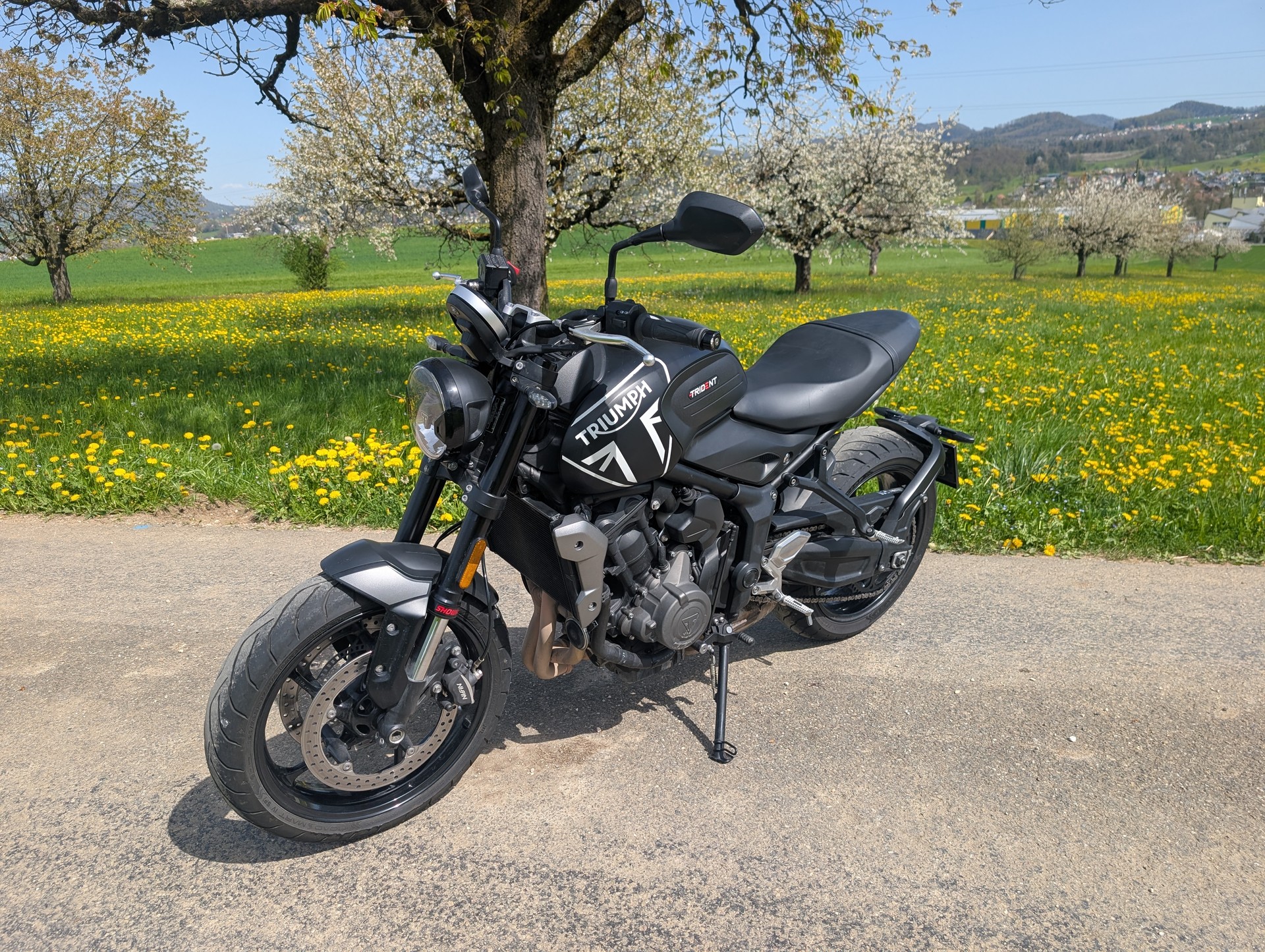TRIUMPH Trident 660-image-0