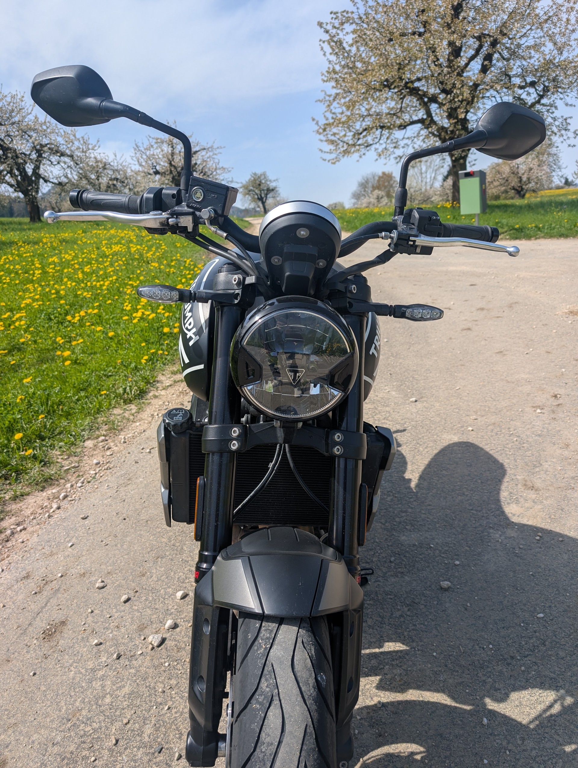 TRIUMPH Trident 660-image-3