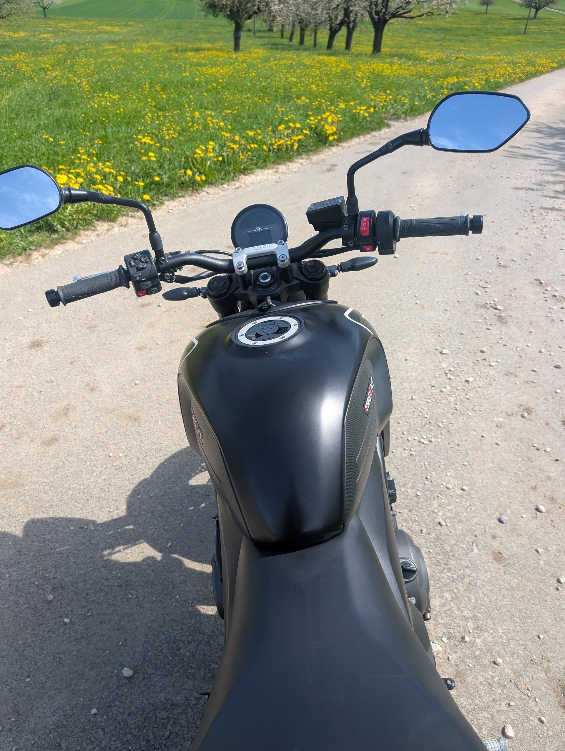 TRIUMPH Trident 660-image-4