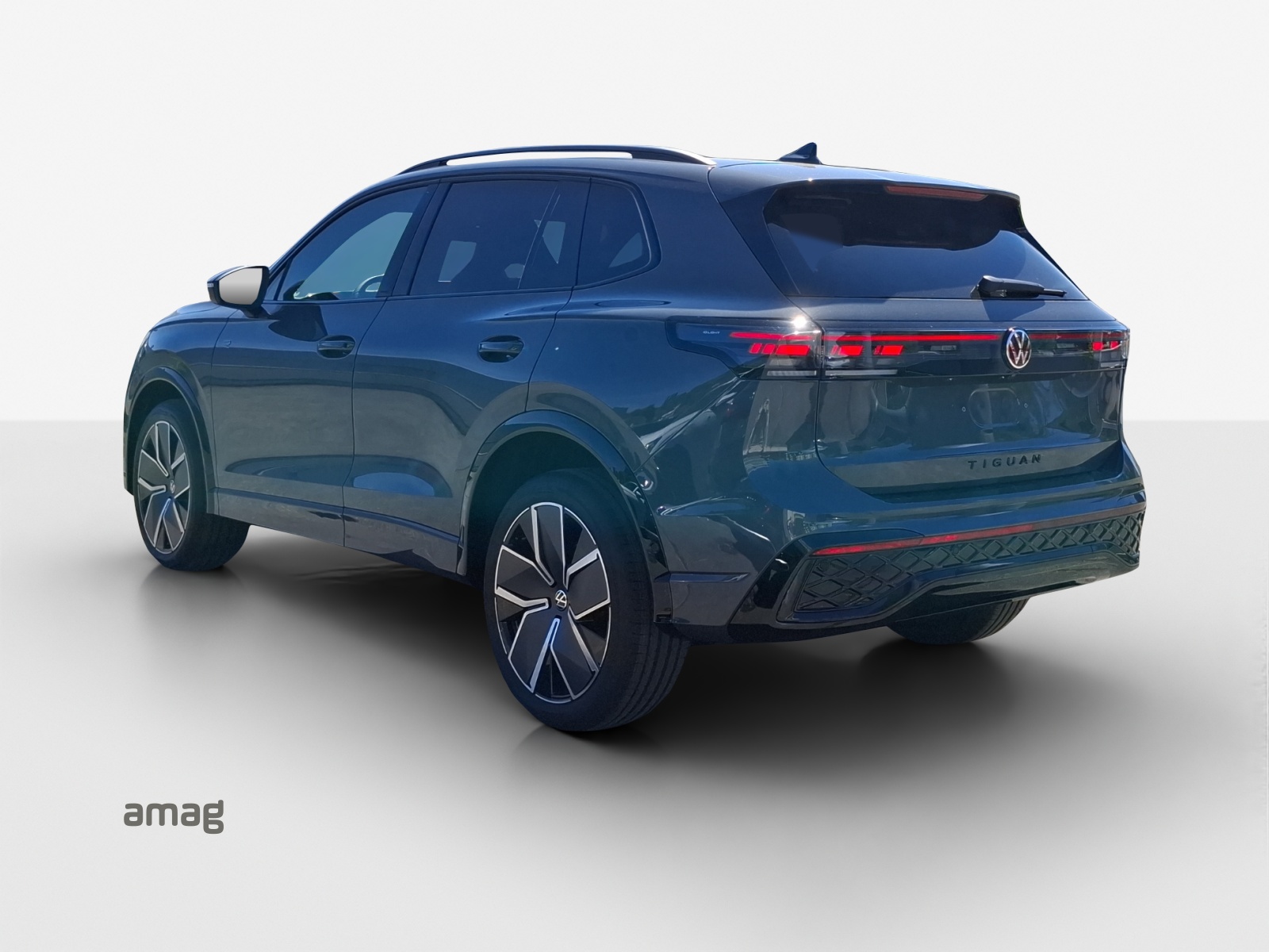 VW Tiguan 2.0 TSI DSG R-Line 4Motion-showroom-element-2