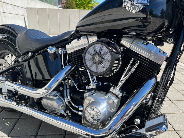 HARLEY-DAVIDSON FLS Softail Slim ABS-image-2