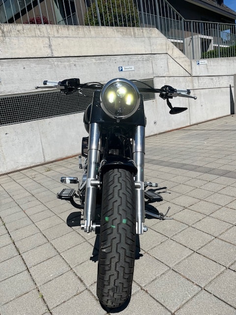 HARLEY-DAVIDSON FLS Softail Slim ABS-image-5