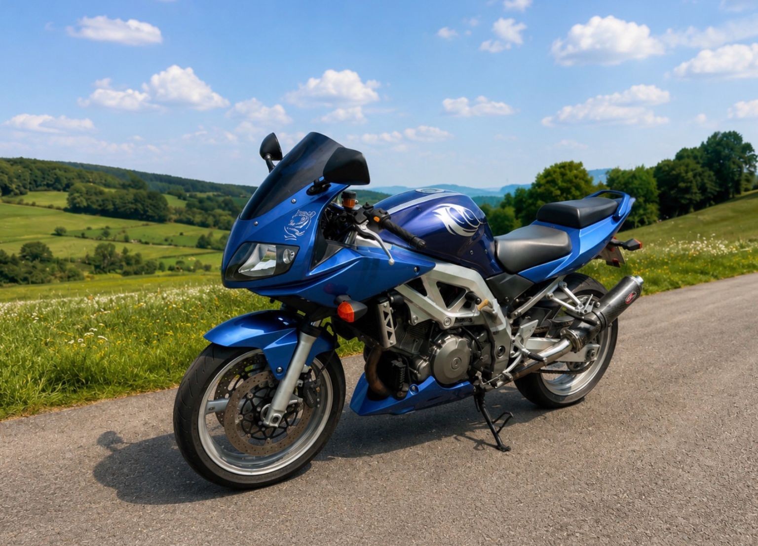 SUZUKI SV 1000 S-image-0