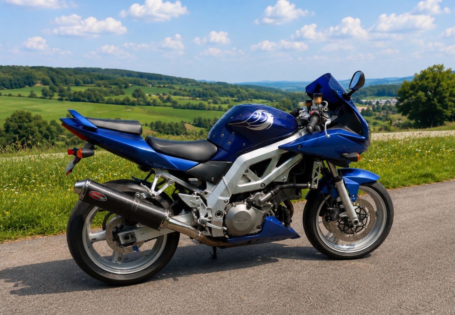 SUZUKI SV 1000 S-image-1