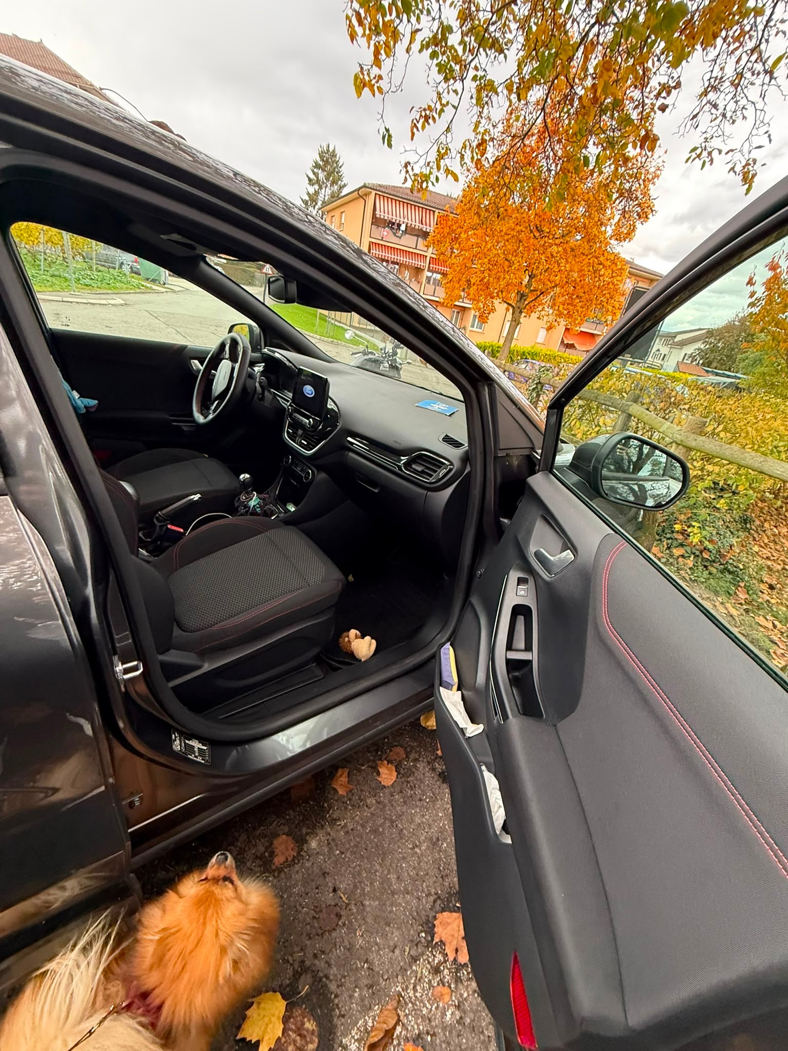 FORD 1.0 EcoB Hybrid 125 ST-Line Design-image-5