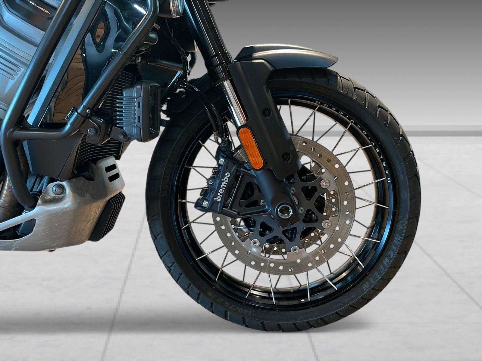 HARLEY-DAVIDSON RA Pan America 1250 Special-image-6