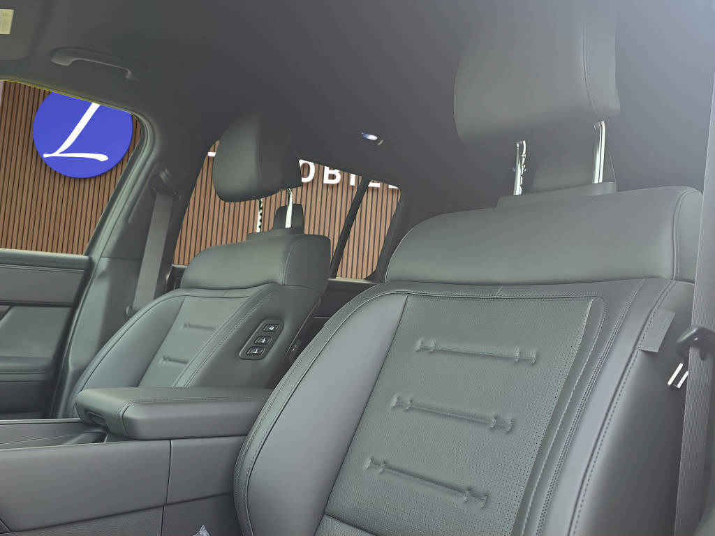 HYUNDAI Santa Fe 1.6 T-GDi PHEV Calligraphy AWD 7Plätzer-image-12