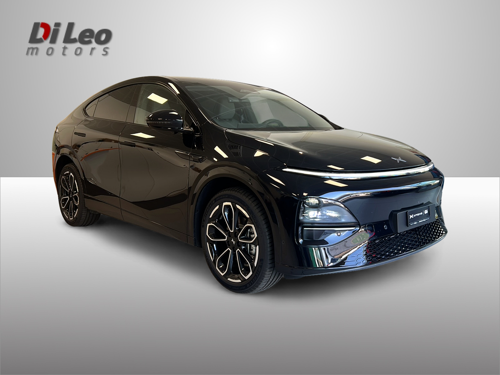 XPENG G6 80kWh Performance AWD-image-2