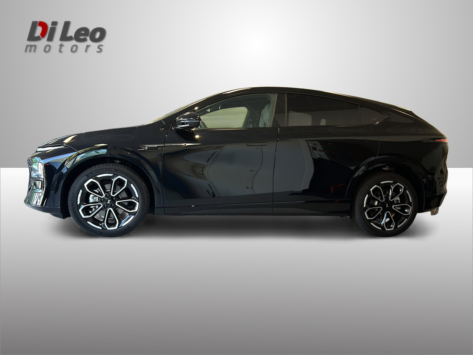 XPENG G6 80kWh Performance AWD-image-7