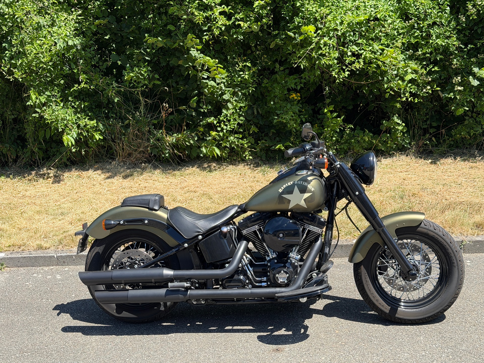 HARLEY-DAVIDSON FLSS Softail Slim S110 ABS-image-12