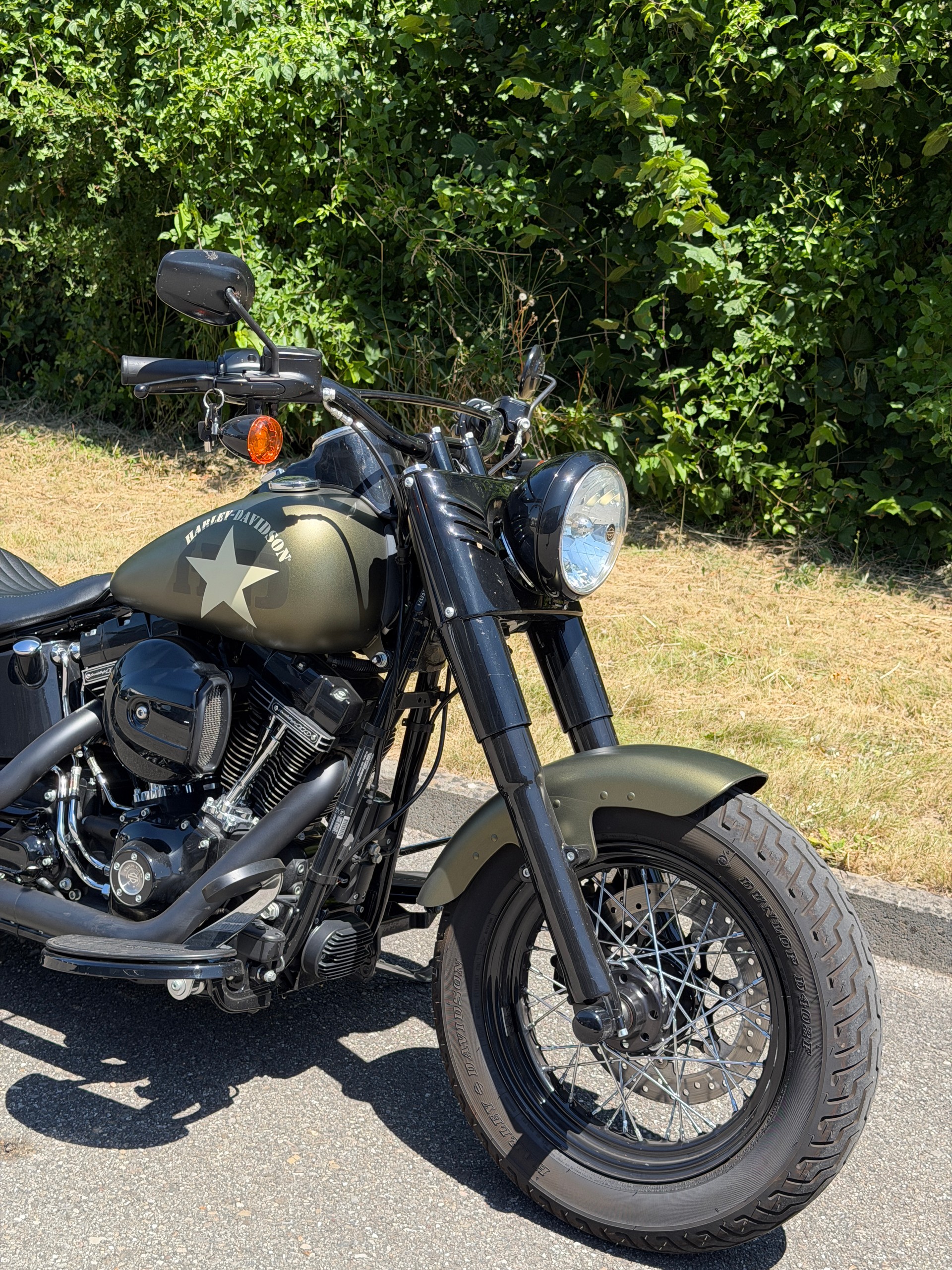 HARLEY-DAVIDSON FLSS Softail Slim S110 ABS-image-1