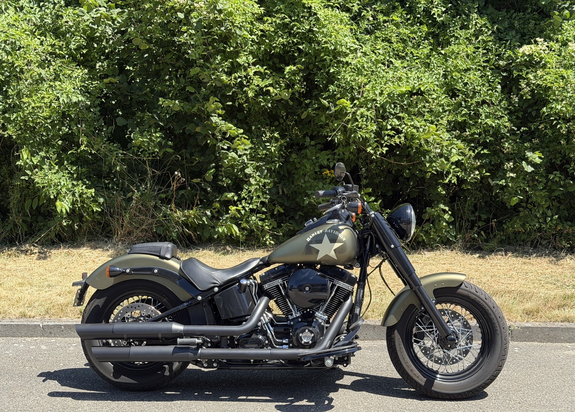HARLEY-DAVIDSON FLSS Softail Slim S110 ABS-image-0