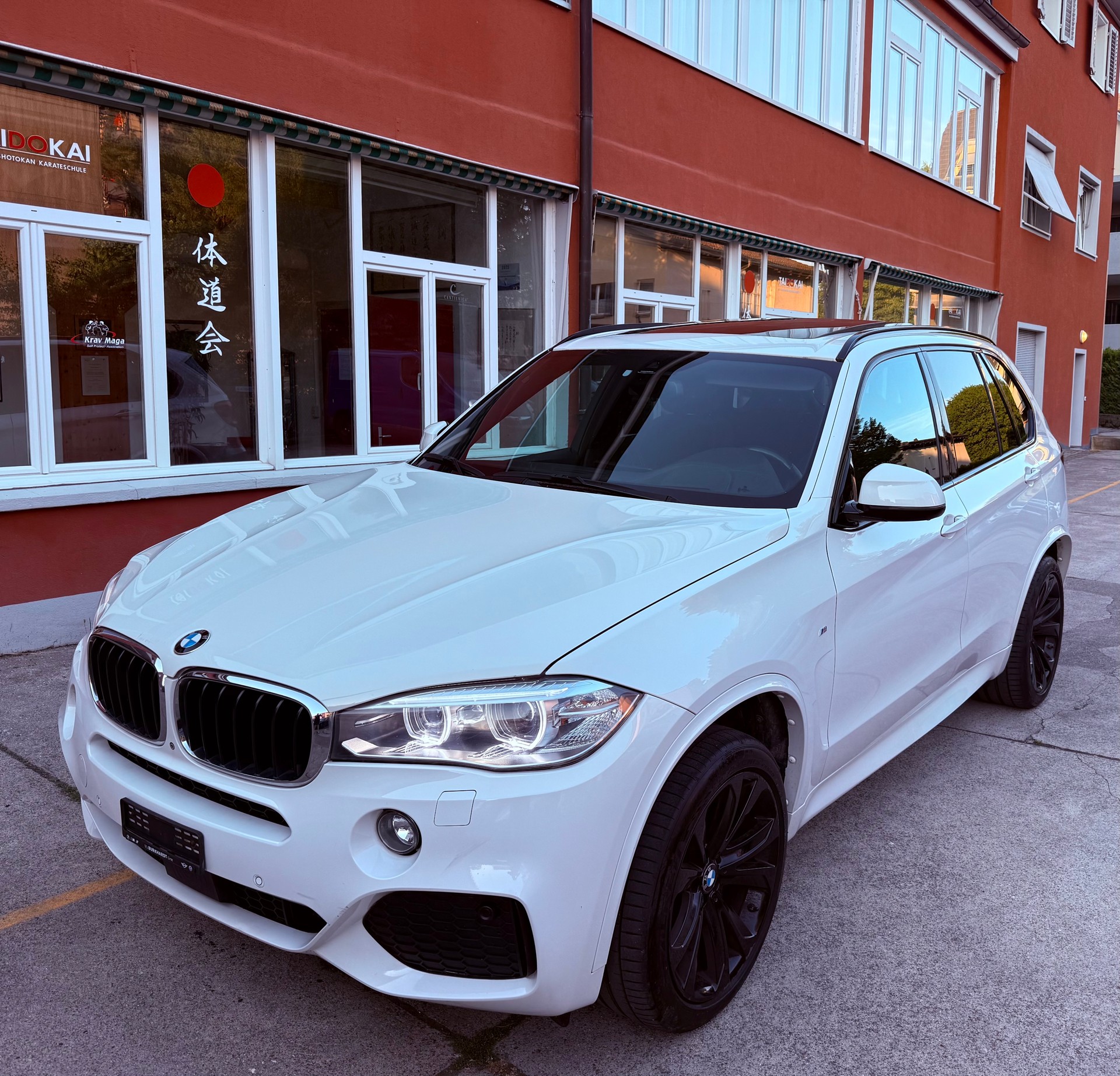BMW X5 xDrive 30d Steptronic-image-1