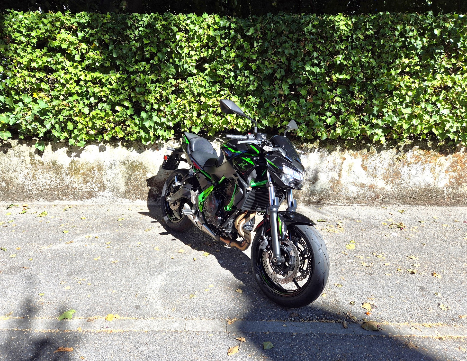 KAWASAKI Z 650 (35kW)-image-5