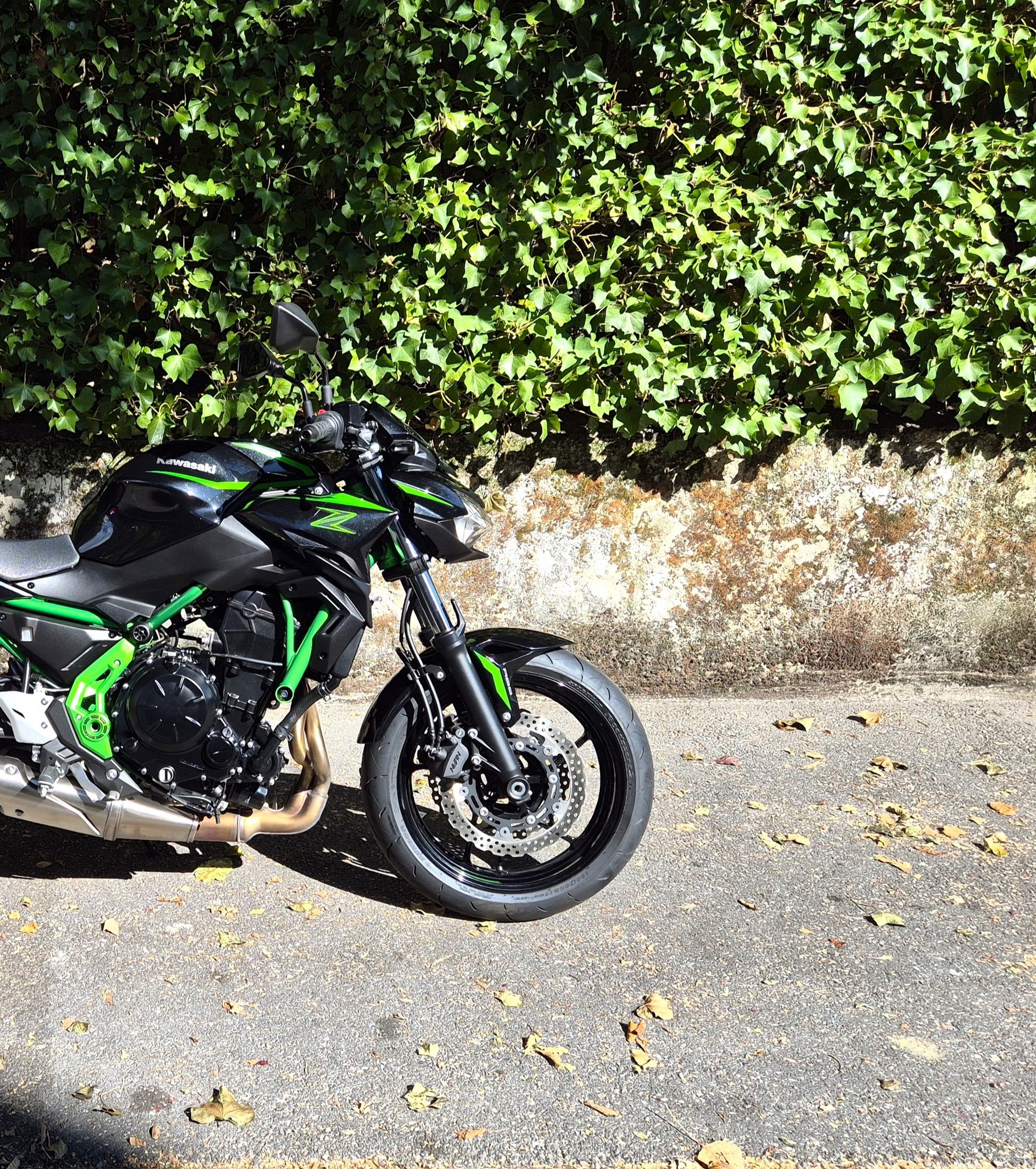 KAWASAKI Z 650 (35kW)-image-11