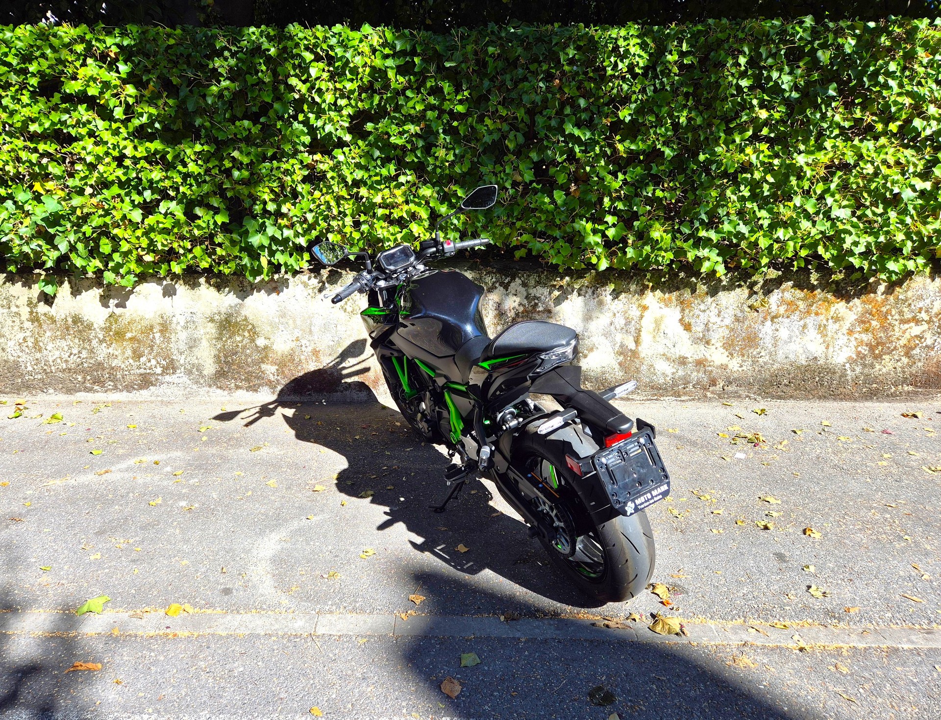 KAWASAKI Z 650 (35kW)-image-2
