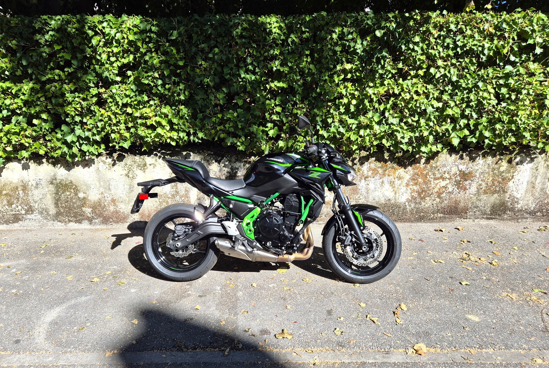 KAWASAKI Z 650 (35kW)-image-0