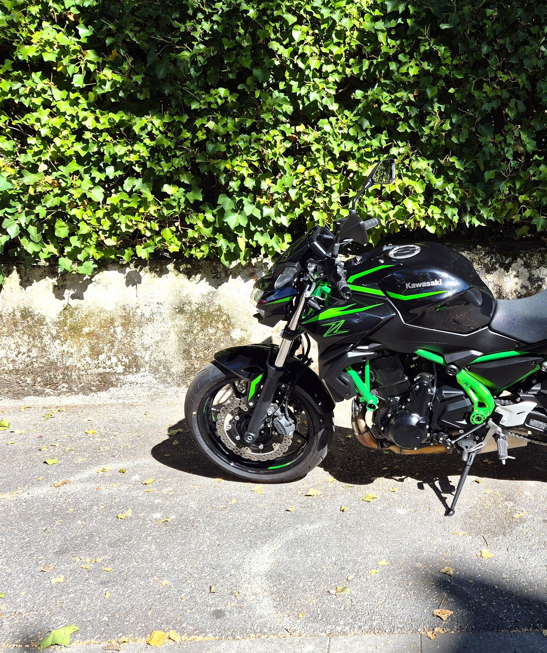 KAWASAKI Z 650 (35kW)-image-9