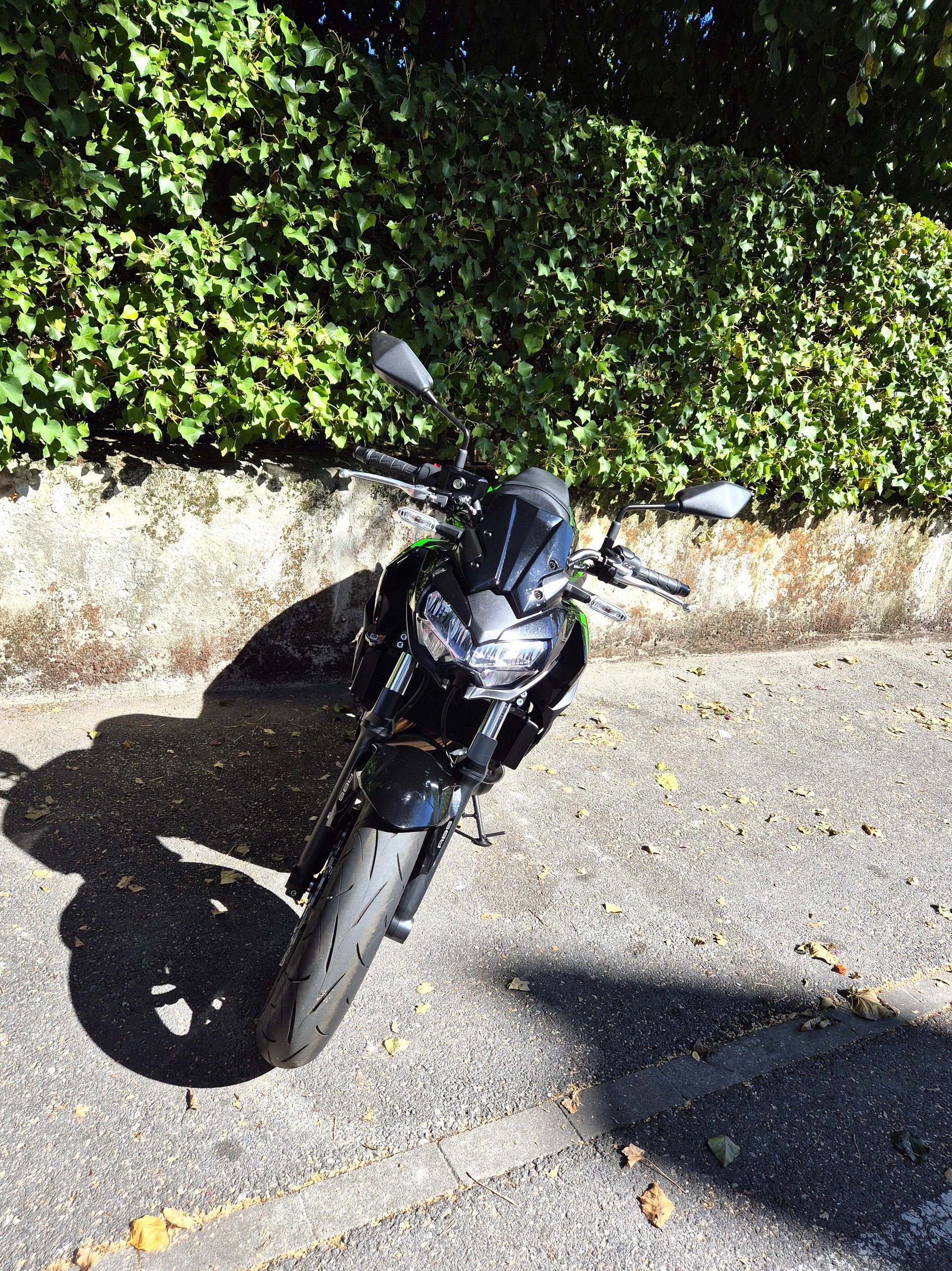 KAWASAKI Z 650 (35kW)-image-6