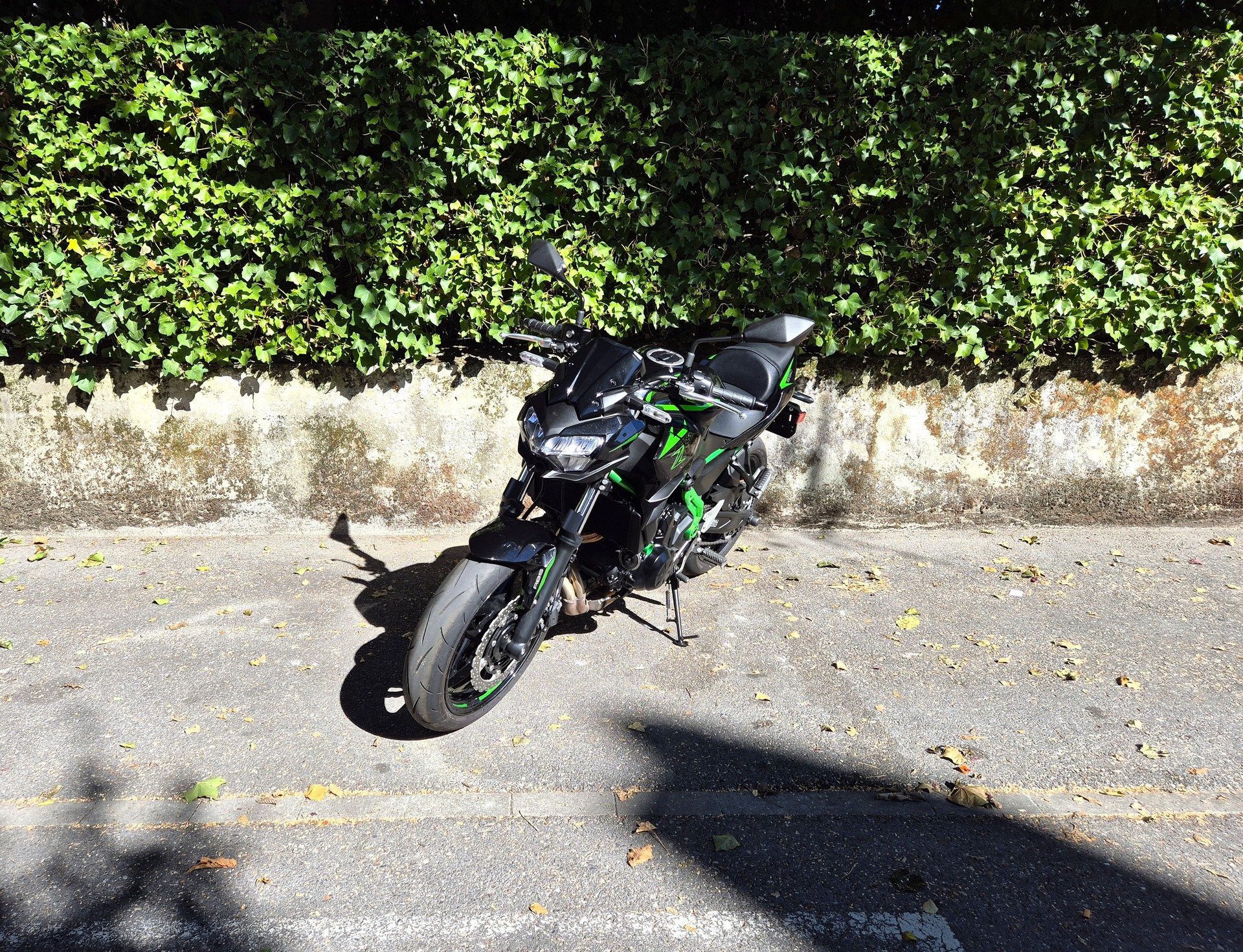 KAWASAKI Z 650 (35kW)-image-4