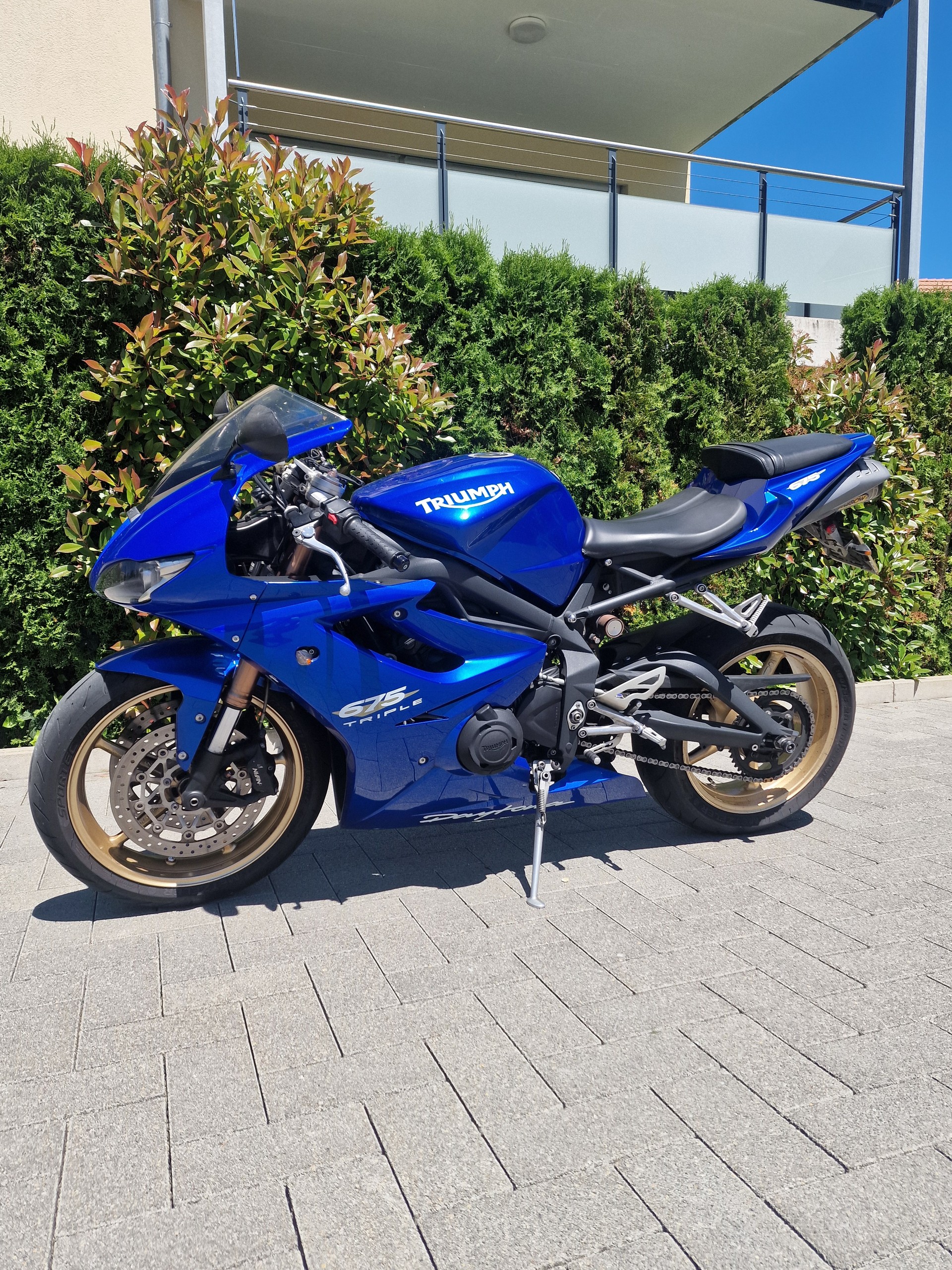 TRIUMPH Daytona 675