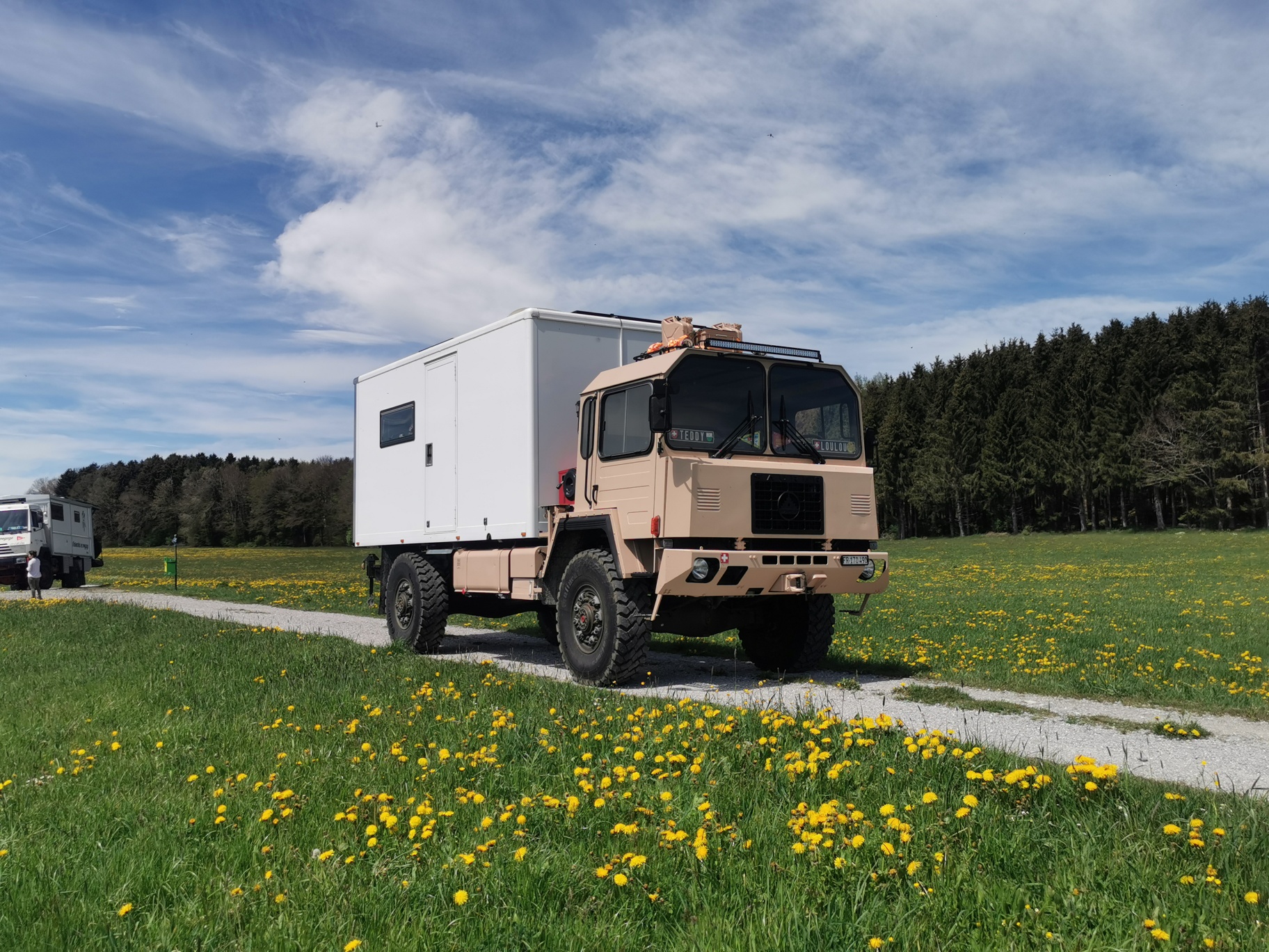 SAURER 6DM-image-1