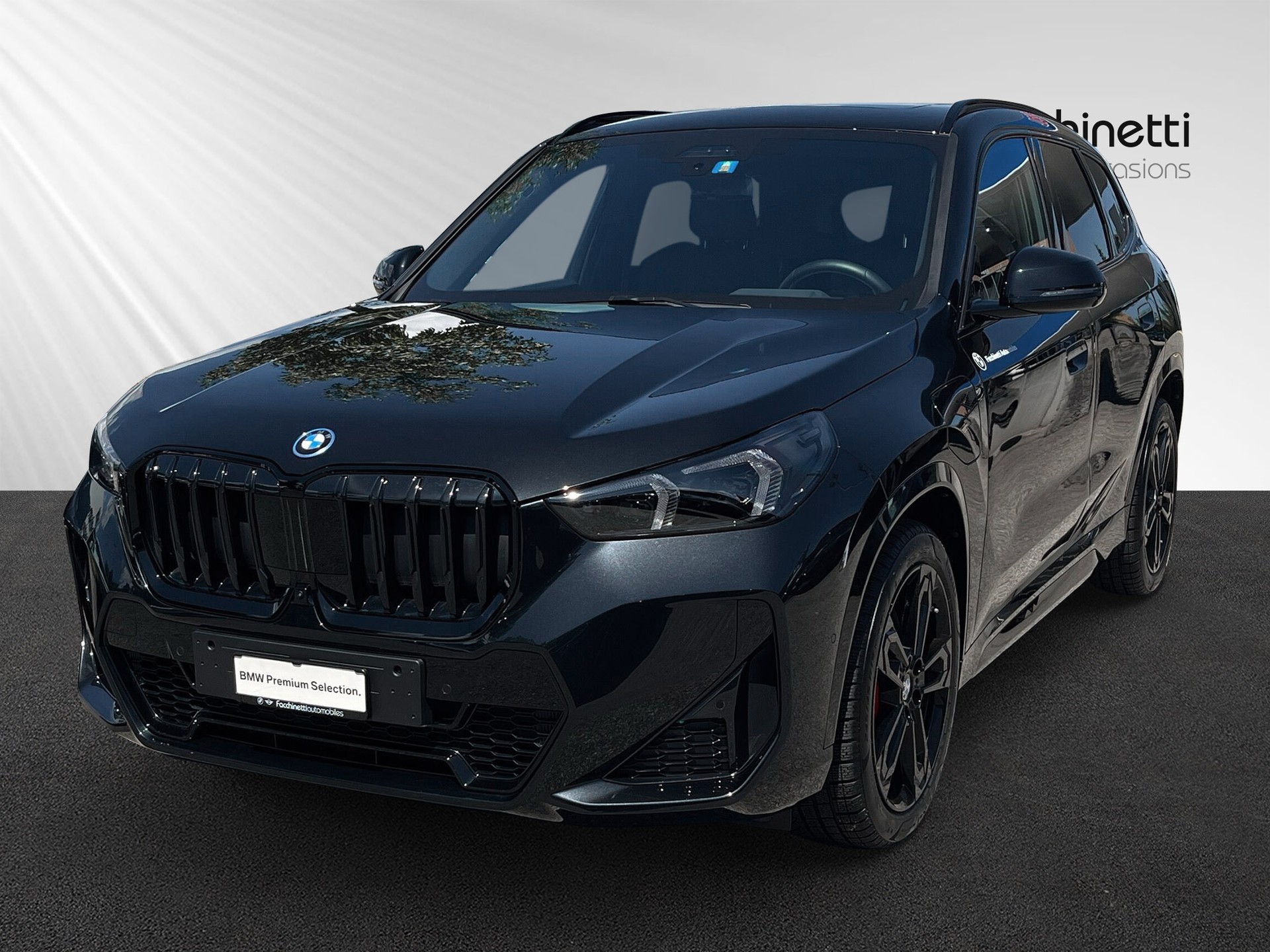 BMW X1 xDrive 30e M Sport Pro