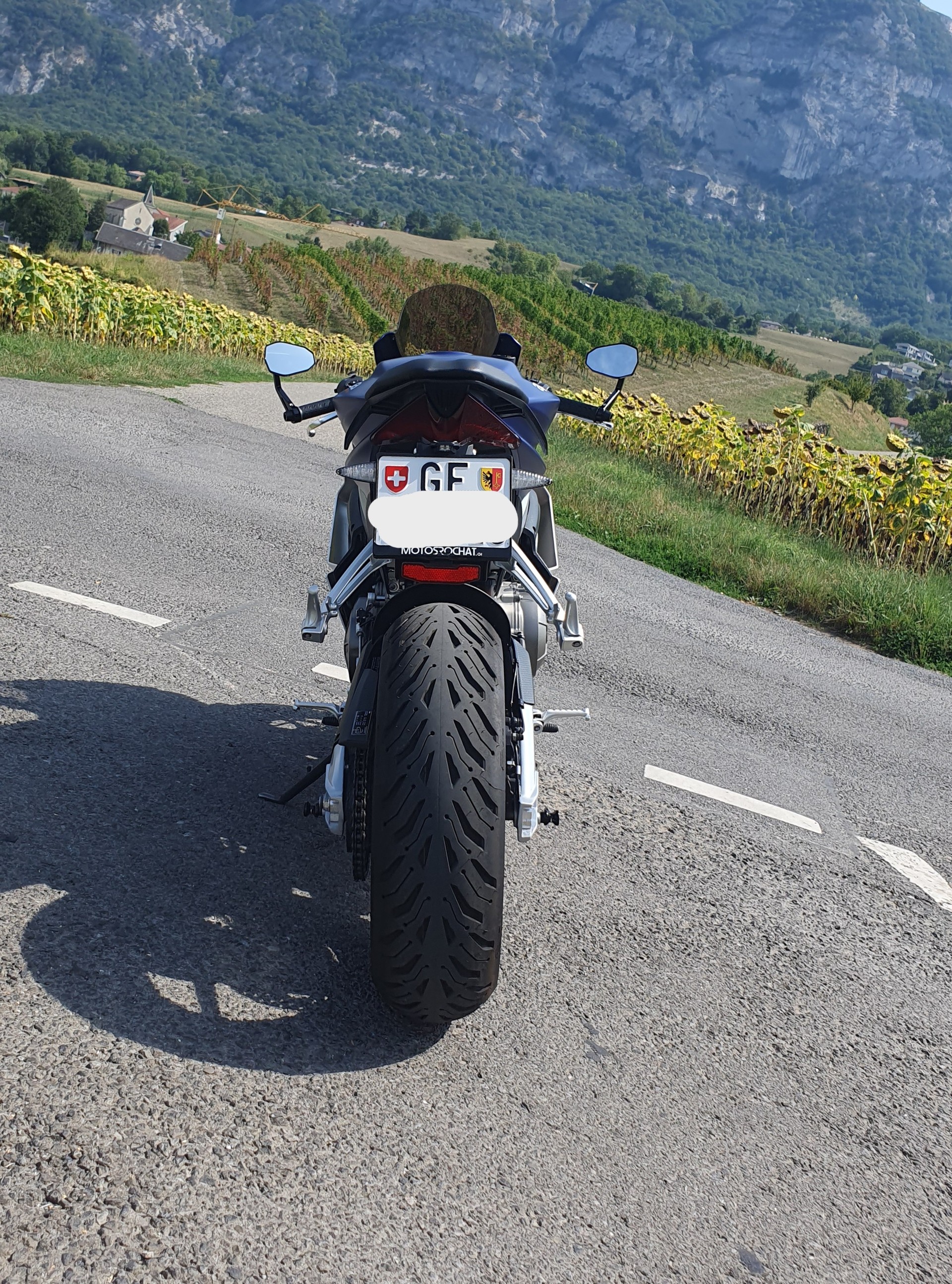APRILIA RS 660 (35kW)-image-5