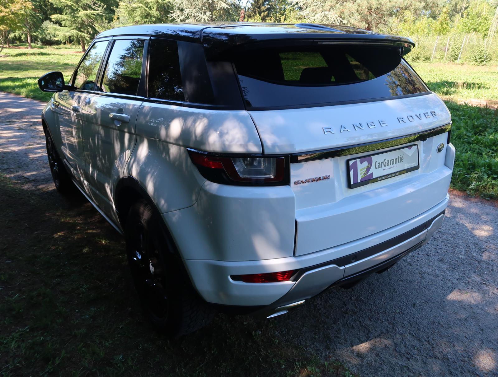 LAND ROVER Evoque 2.0 TD4 SE Dynamic AT9-image-6