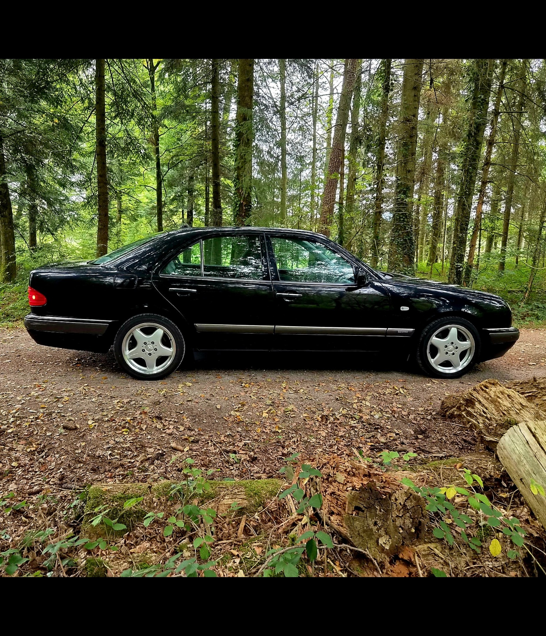 MERCEDES-BENZ E 430 Elégance Automatic-image-2