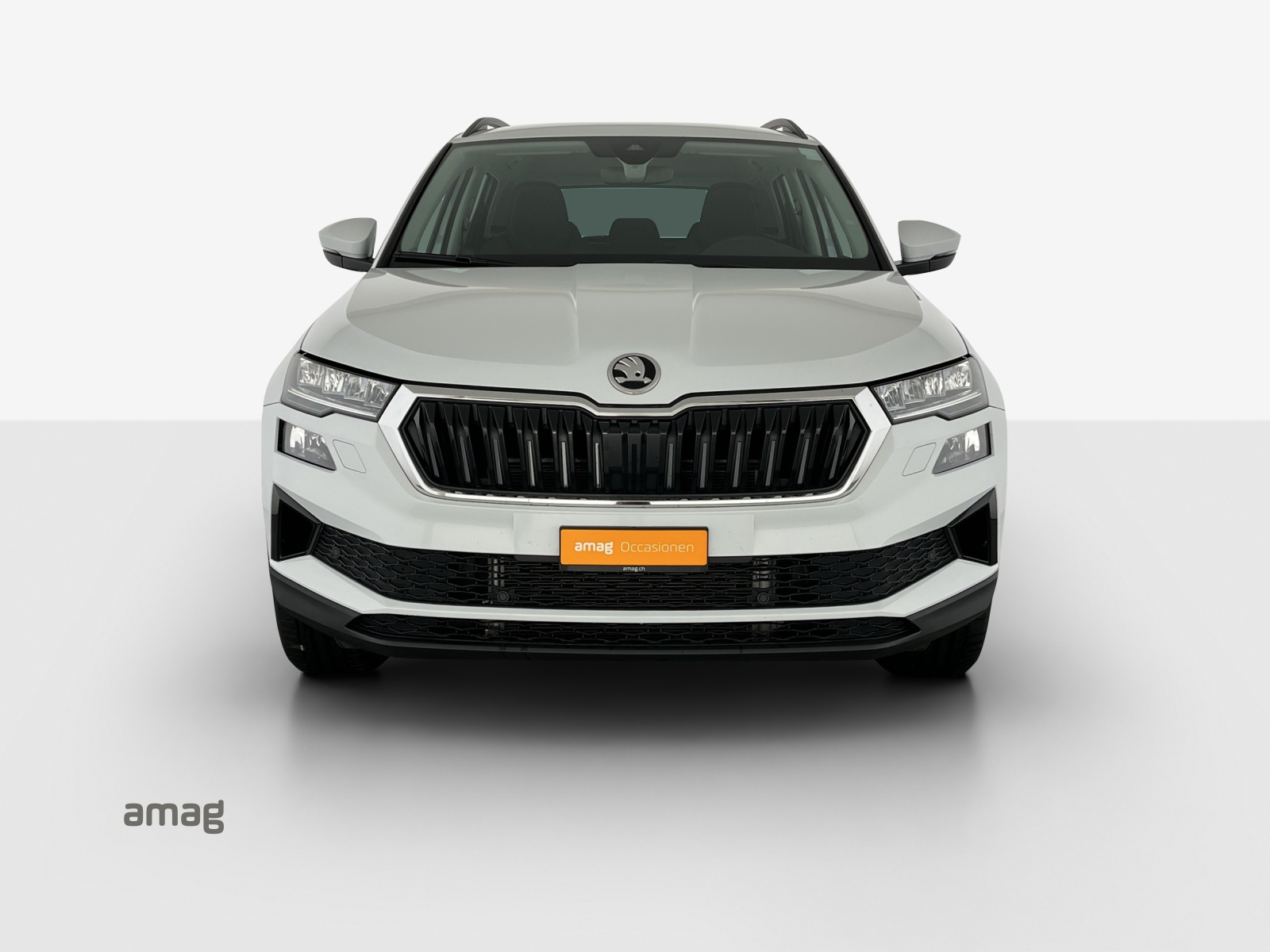 SKODA Karoq 2.0 TDI CR Selection 4x4 DSG-image-6