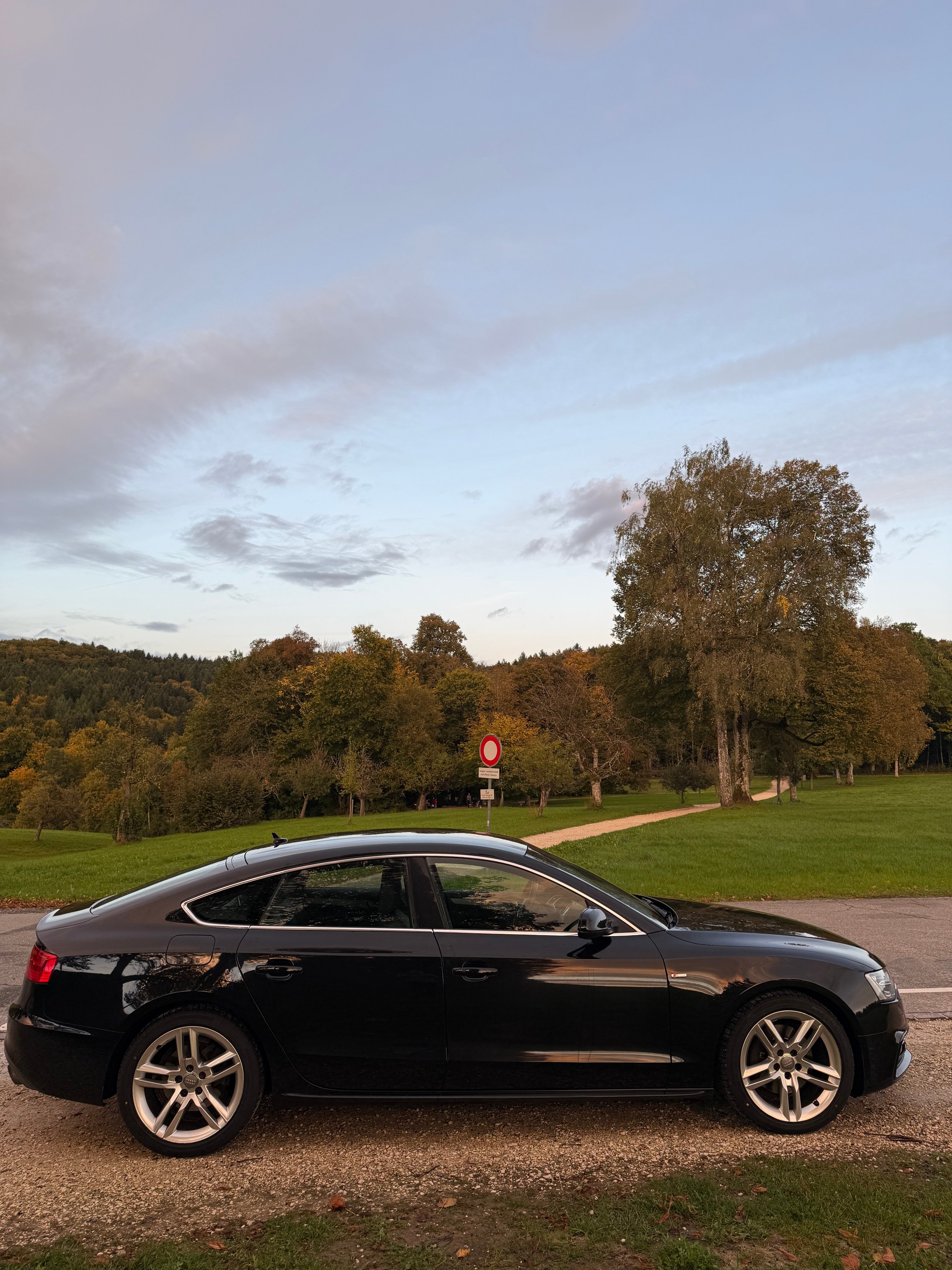 AUDI 2.0 TFSI quattro S-Tronic-image-8