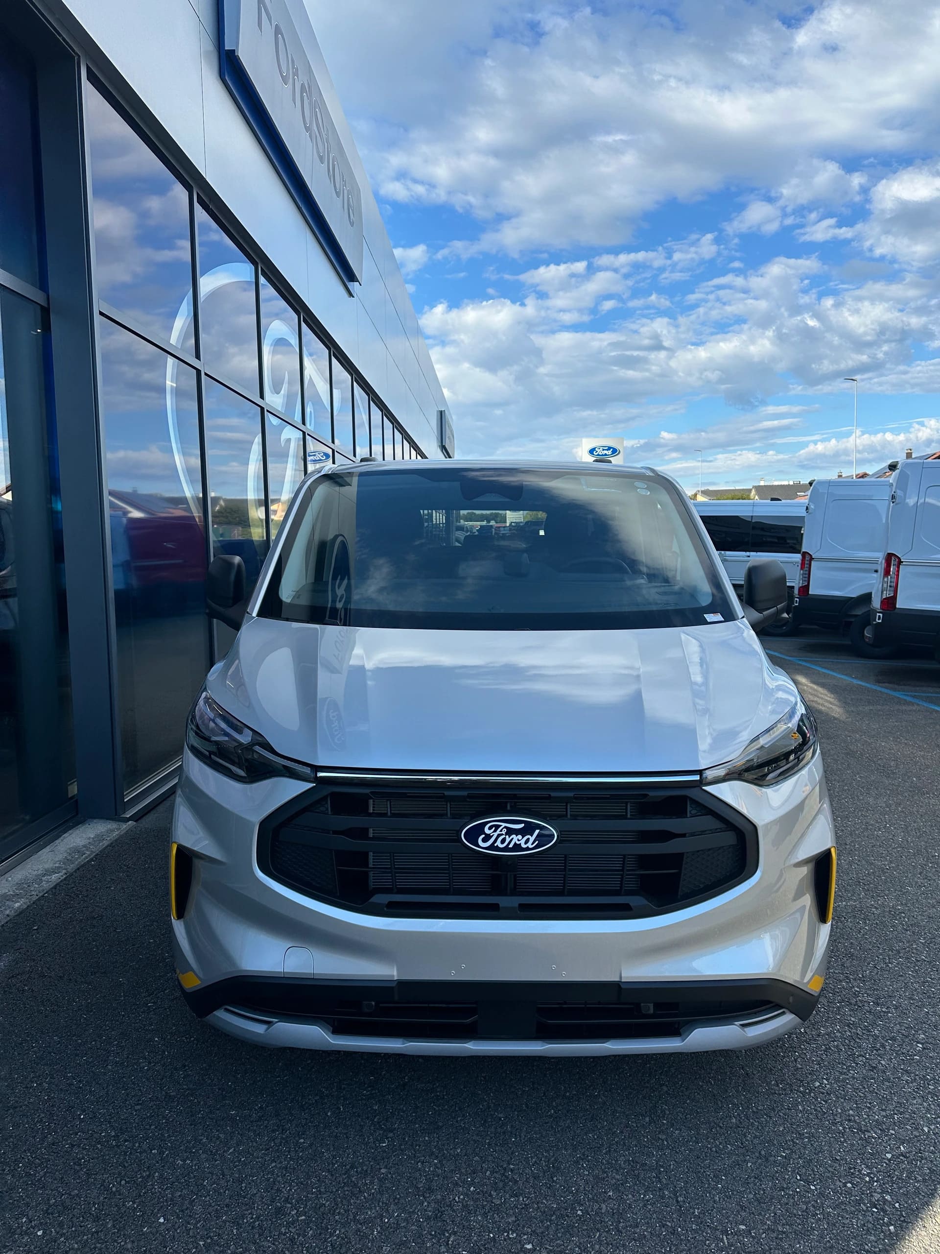 FORD Transit C combi 320 L1 2.0 Eco Trail 170CV 4x4 Aut.-image-8
