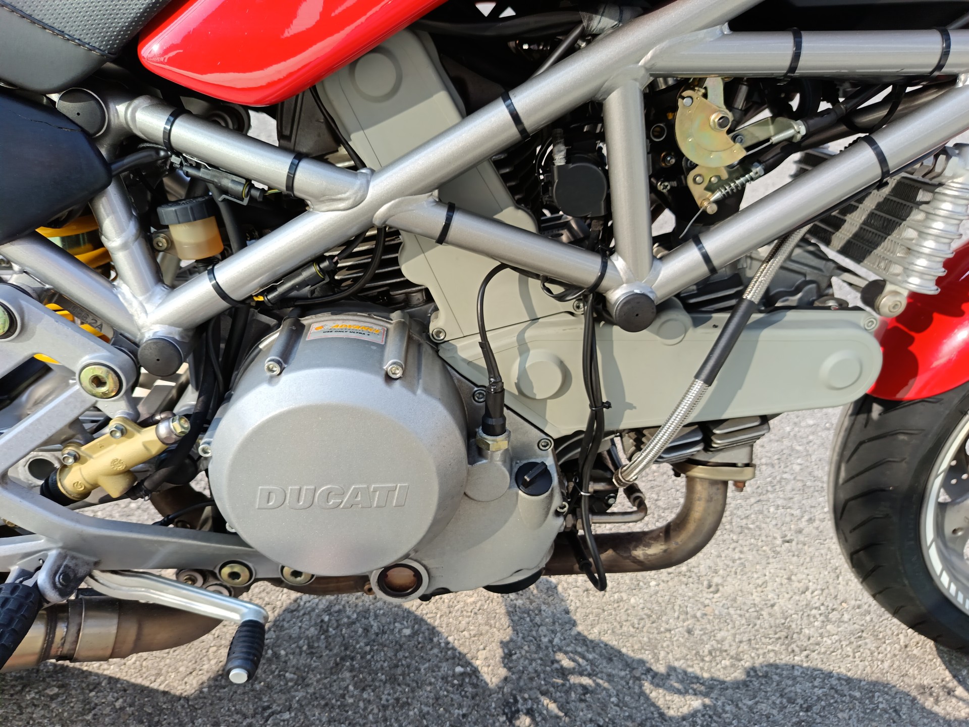 DUCATI Monster 800 i.e.-image-9
