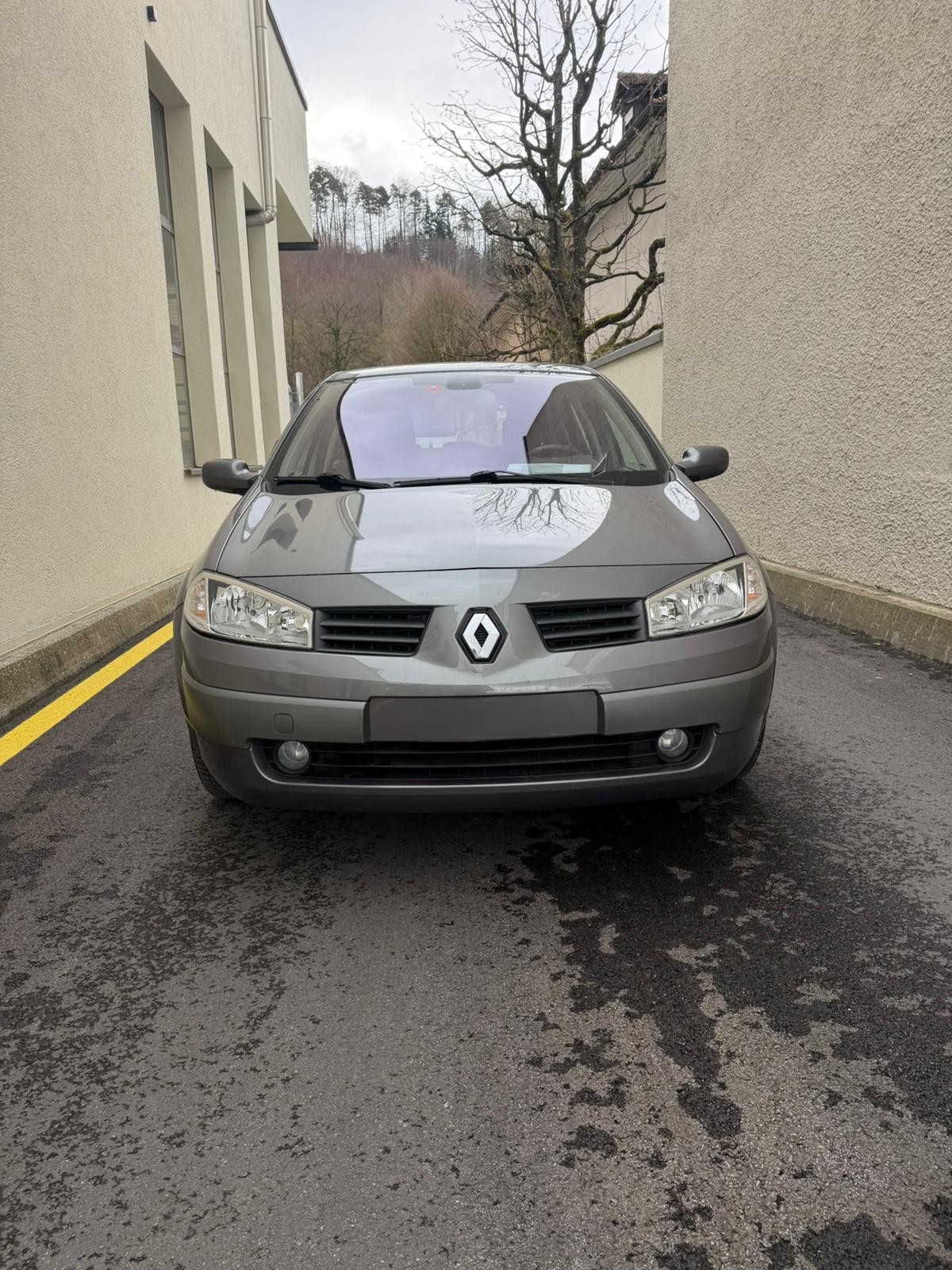 RENAULT MEGANE 2.0 16V Turbo Sport-showroom-element-1