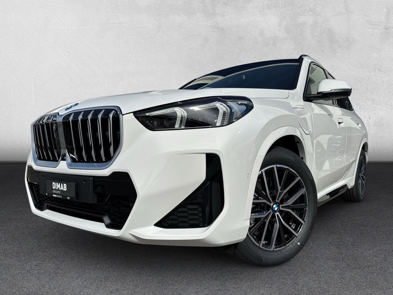 BMW X1 xDrive 25e M Sport-image-8