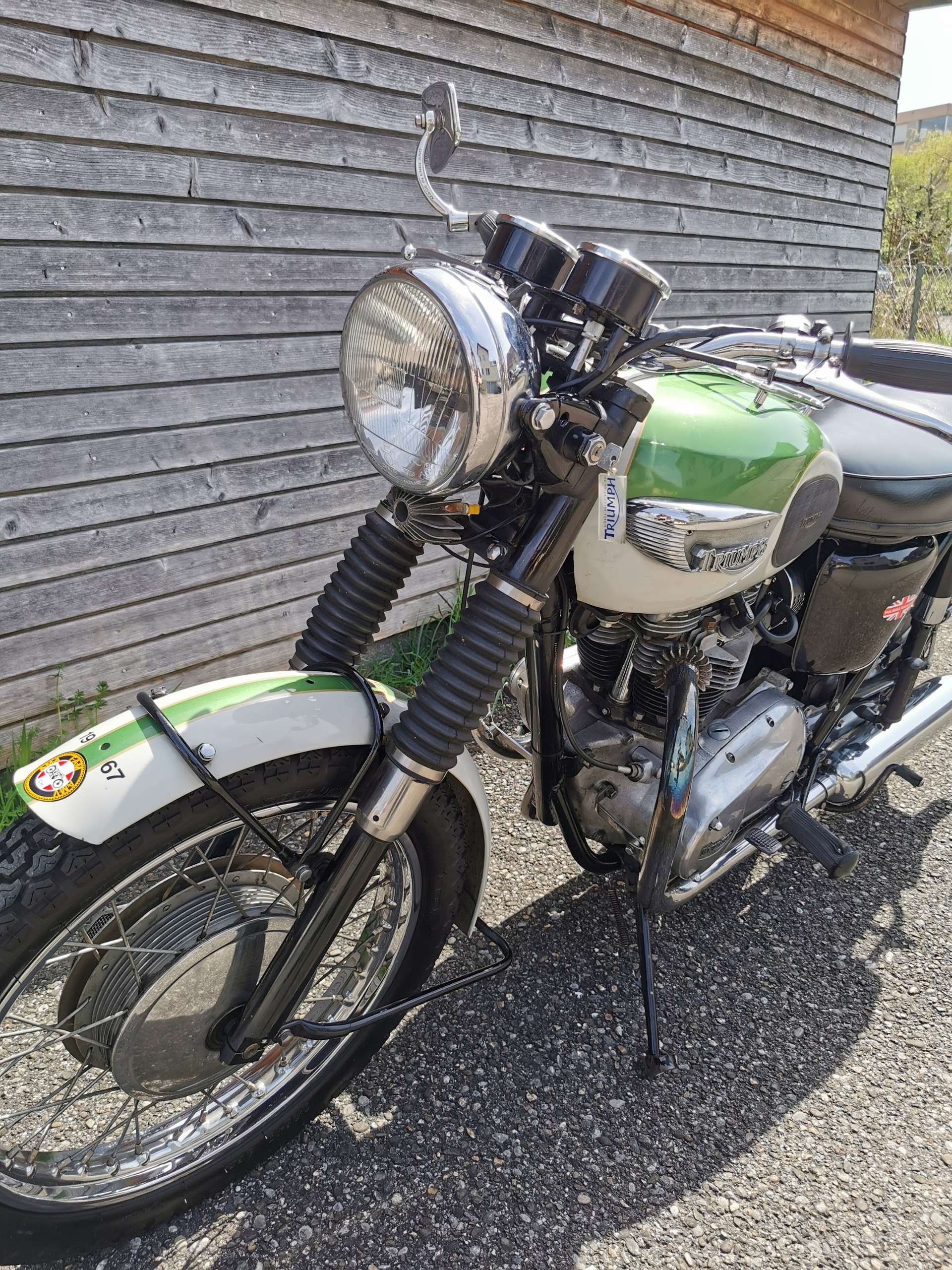 TRIUMPH TR 6 Trophy-image-3