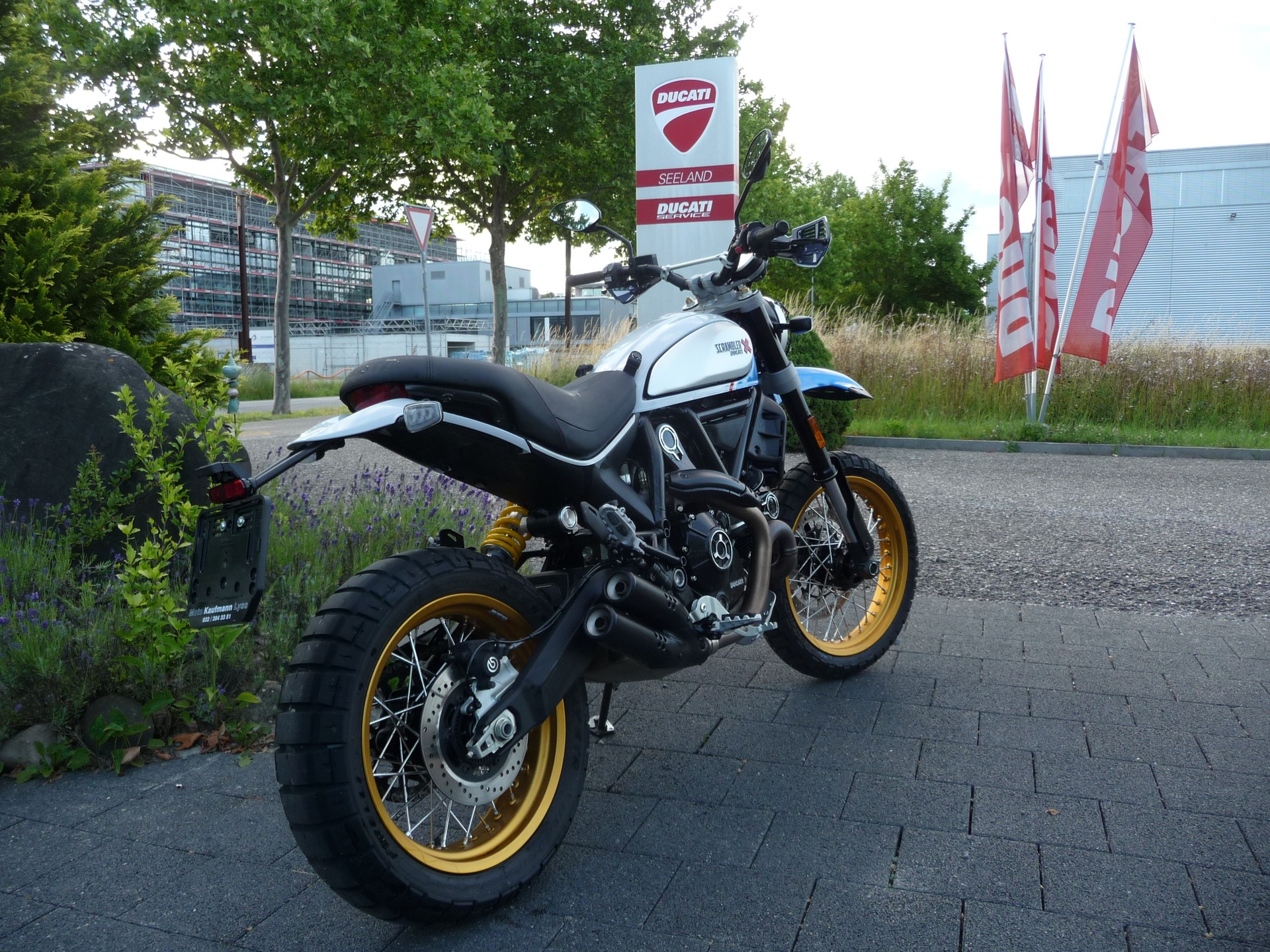 DUCATI Scrambler 803 Desert Sled-image-1